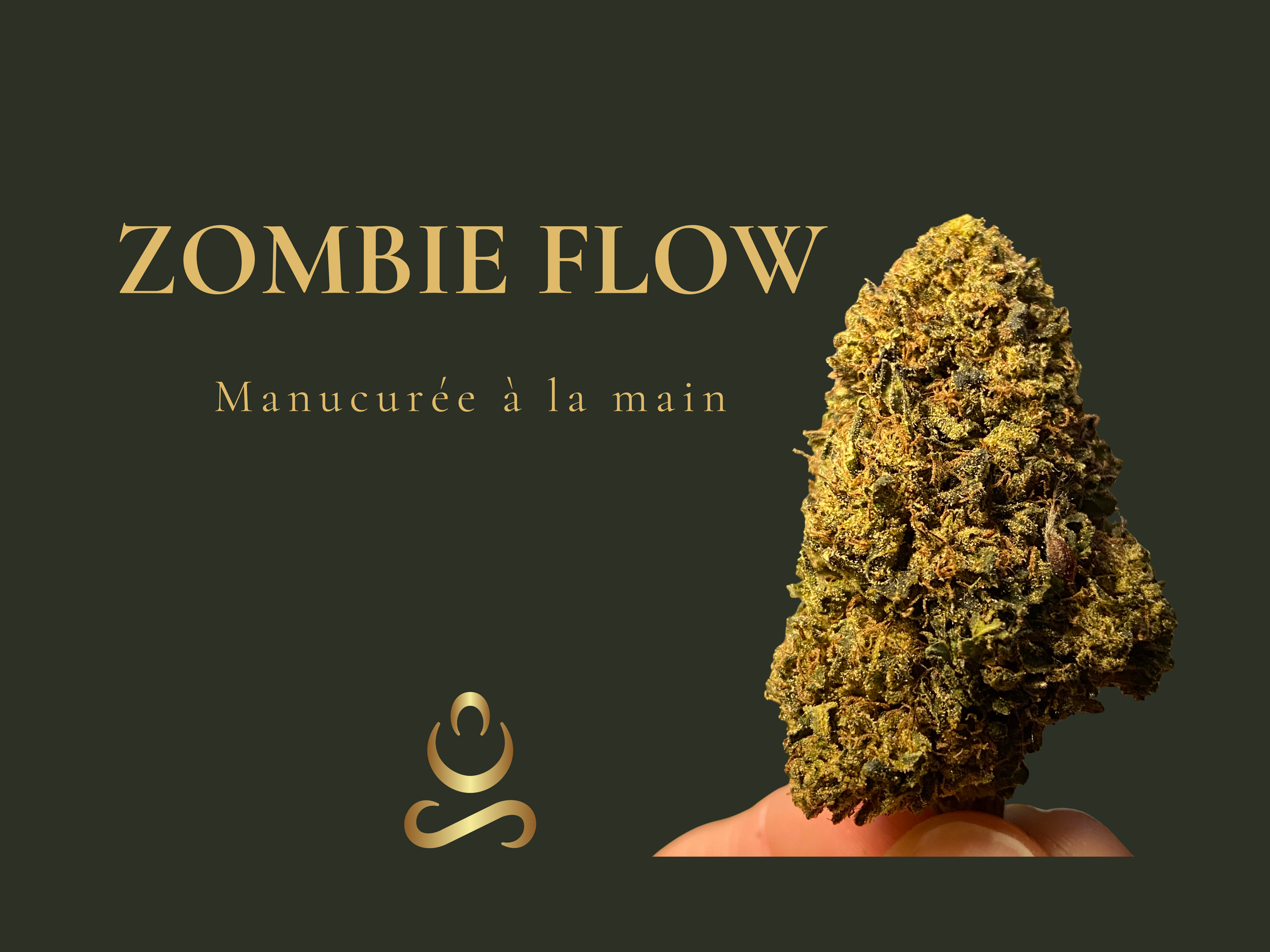 Tête de fleur de CBD Zombie Flow bio plein champ, manucurée à la main - Domaine Aum Sativa Cévennes, pionnier du cbd