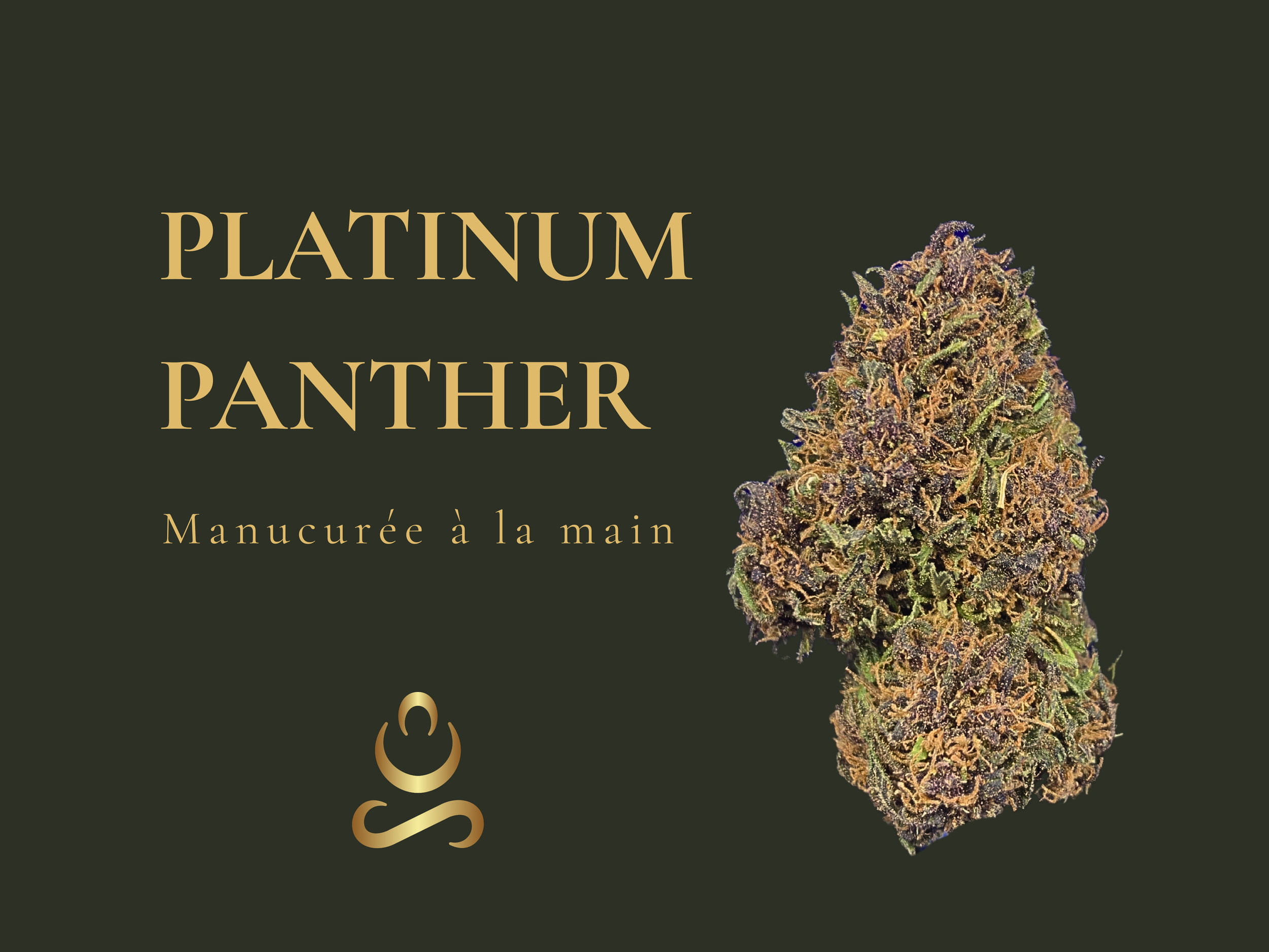Tête de fleur de CBD Platinum Panther bio plein champ, manucurée à la main Domaine Aum Sativa Cévennes