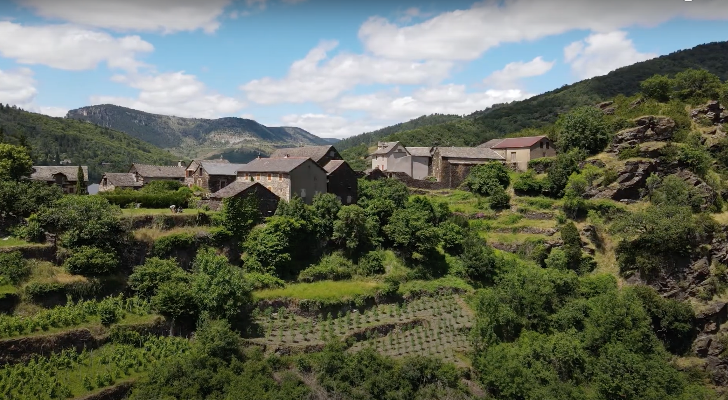 Les cultures exposées au sud s'épanouissent sur les bancels des ancêtres