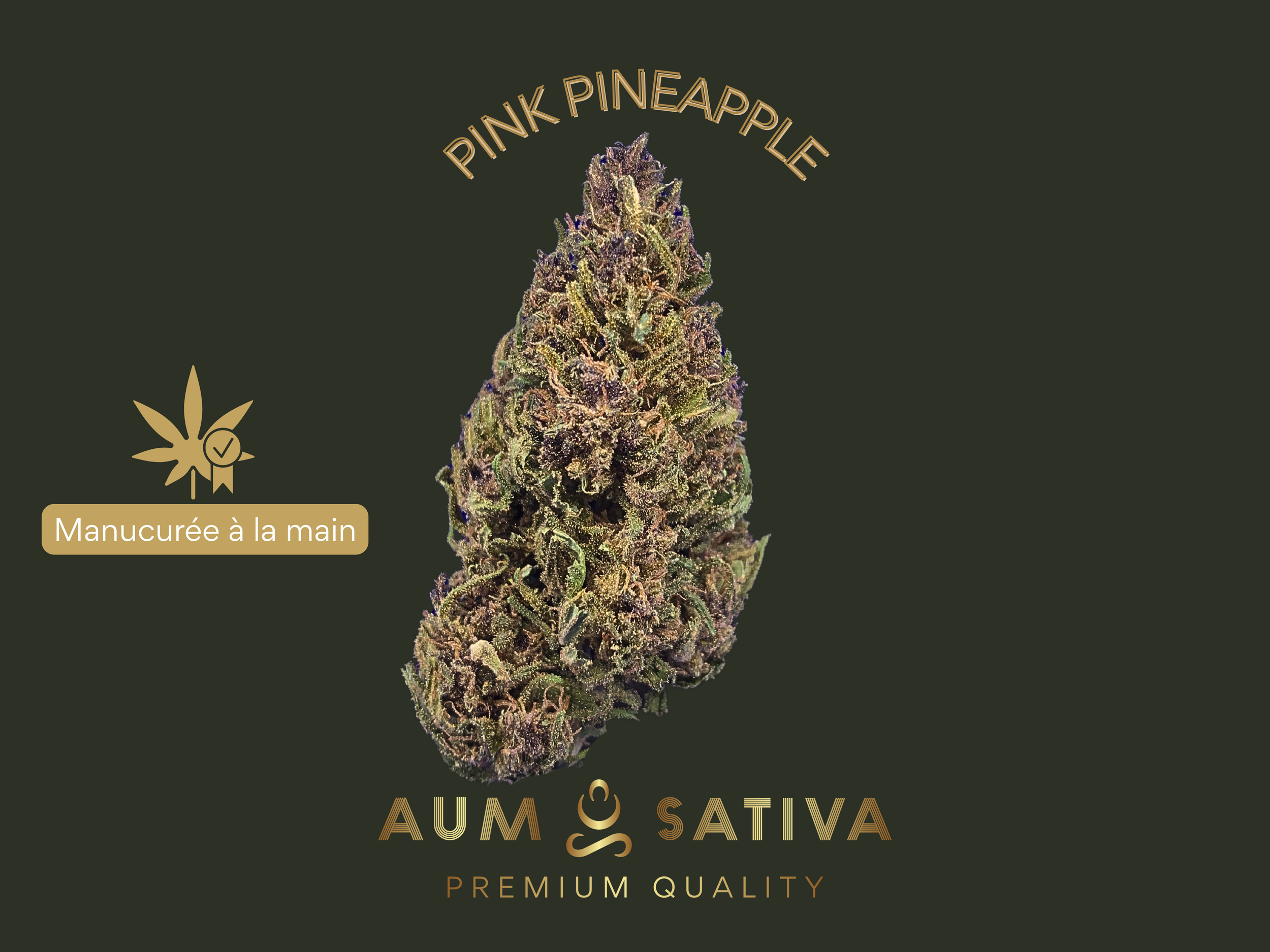 Fleur de CBD Pink Pineapple cultivée en agriculture biologique par Aum Sativa en Lozère.