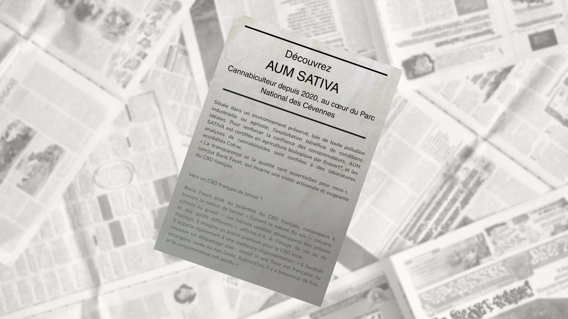 Une affiche informant sur les avantages du CBD SATIVA, mettant en avant ses bienfaits dans un environnement de parc et de nature.
