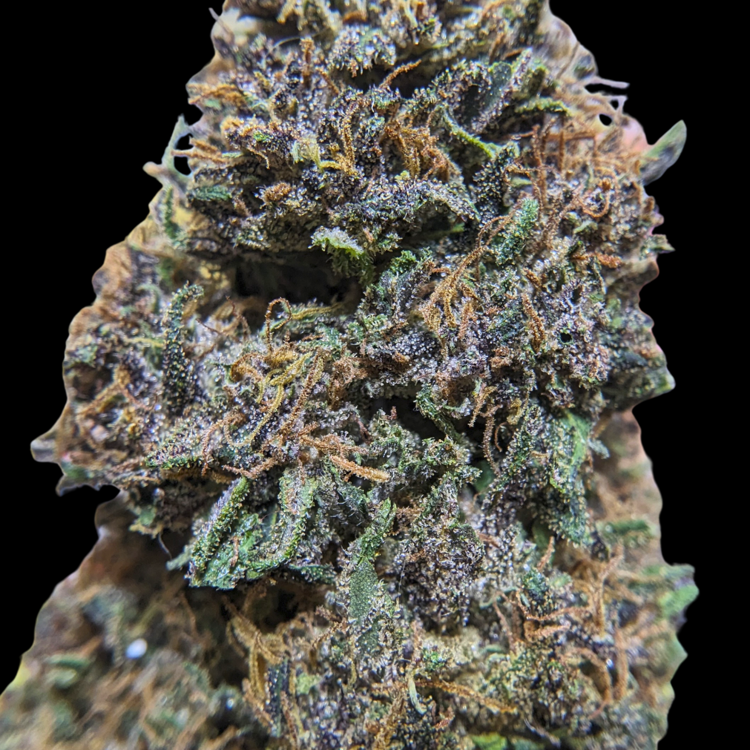 Pineapple-Mimosa-Aum-Sativa-Testeur-de-CBD-1536x1536 (1).png