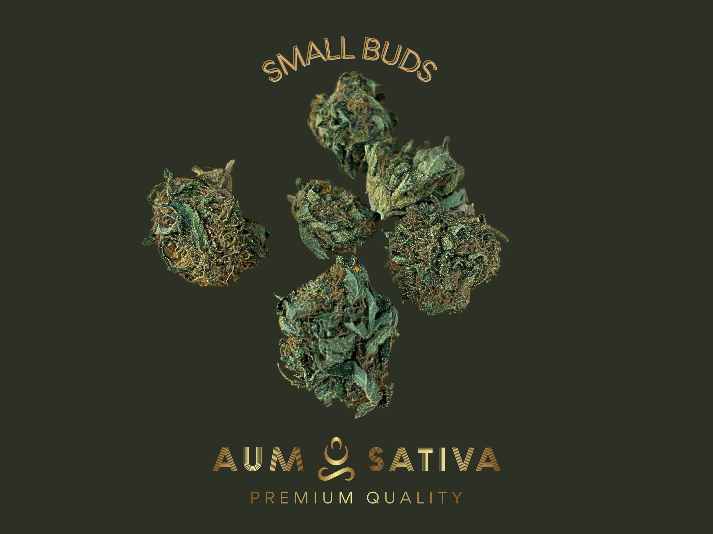 SMALL BUDS.png
