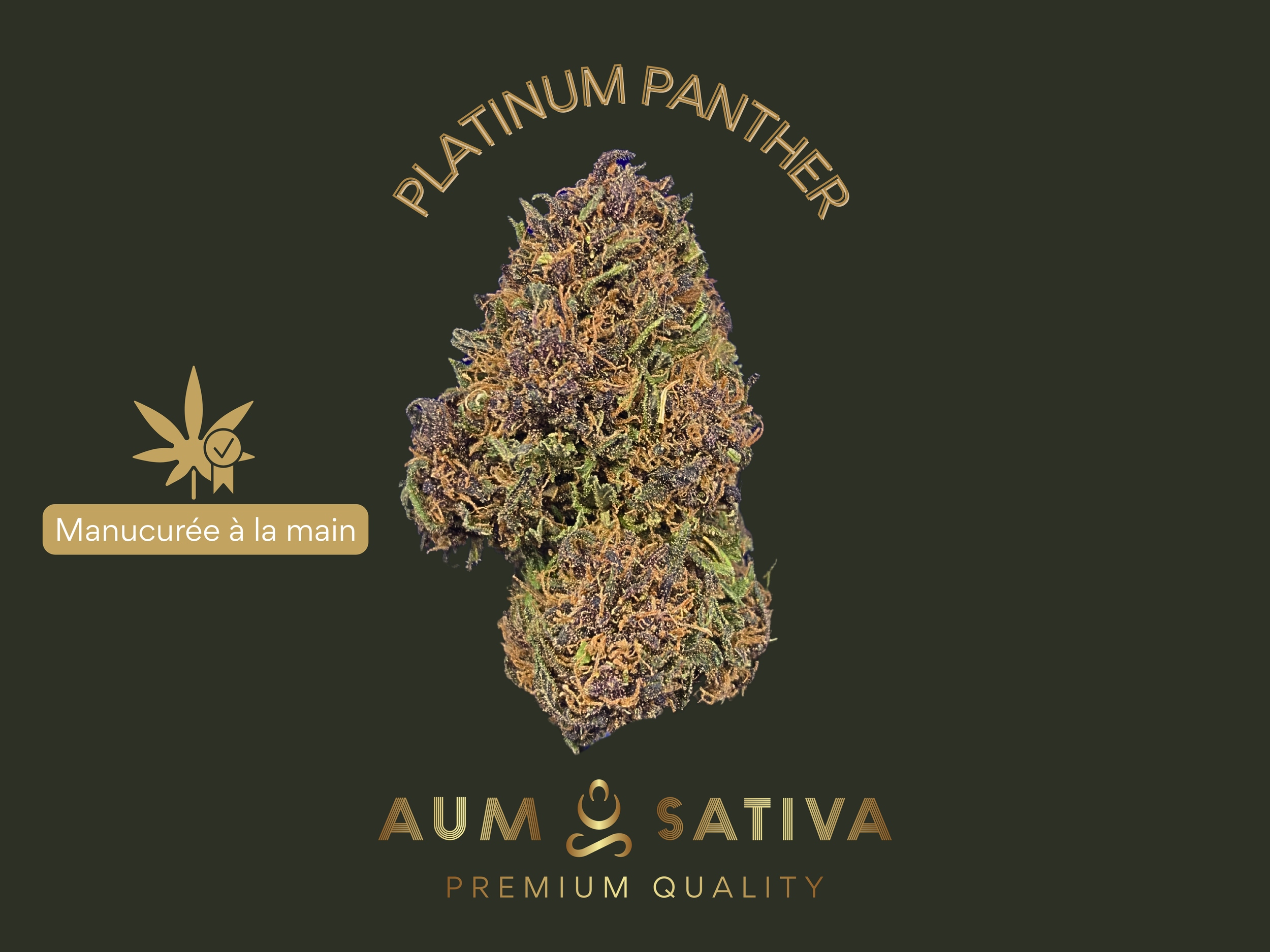 Fleur de CBD Platinum Panther cultivée en agriculture biologique par Aum Sativa en Lozère. Texte et logo doré sur fond vert foncé