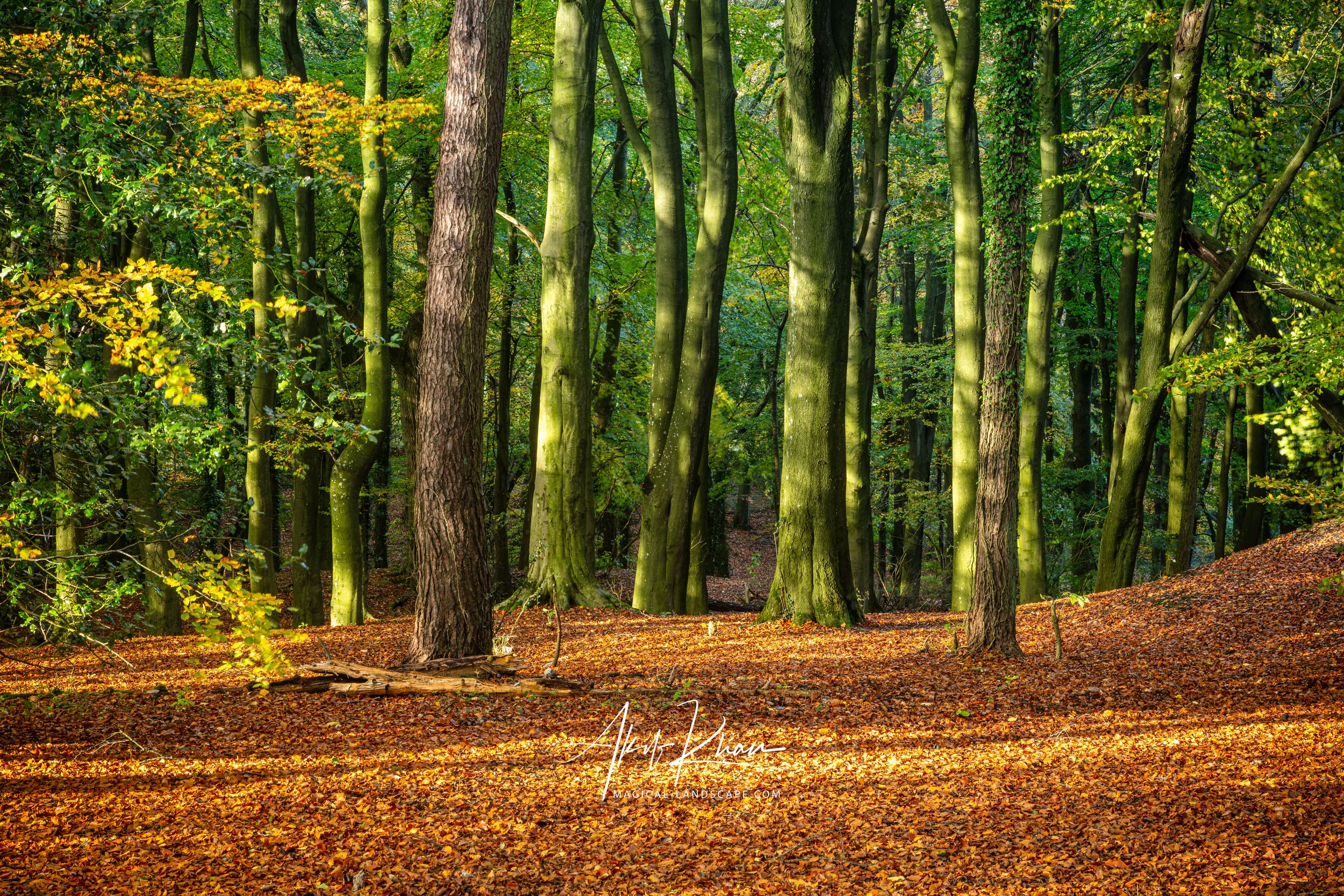 Peak district -88.jpg