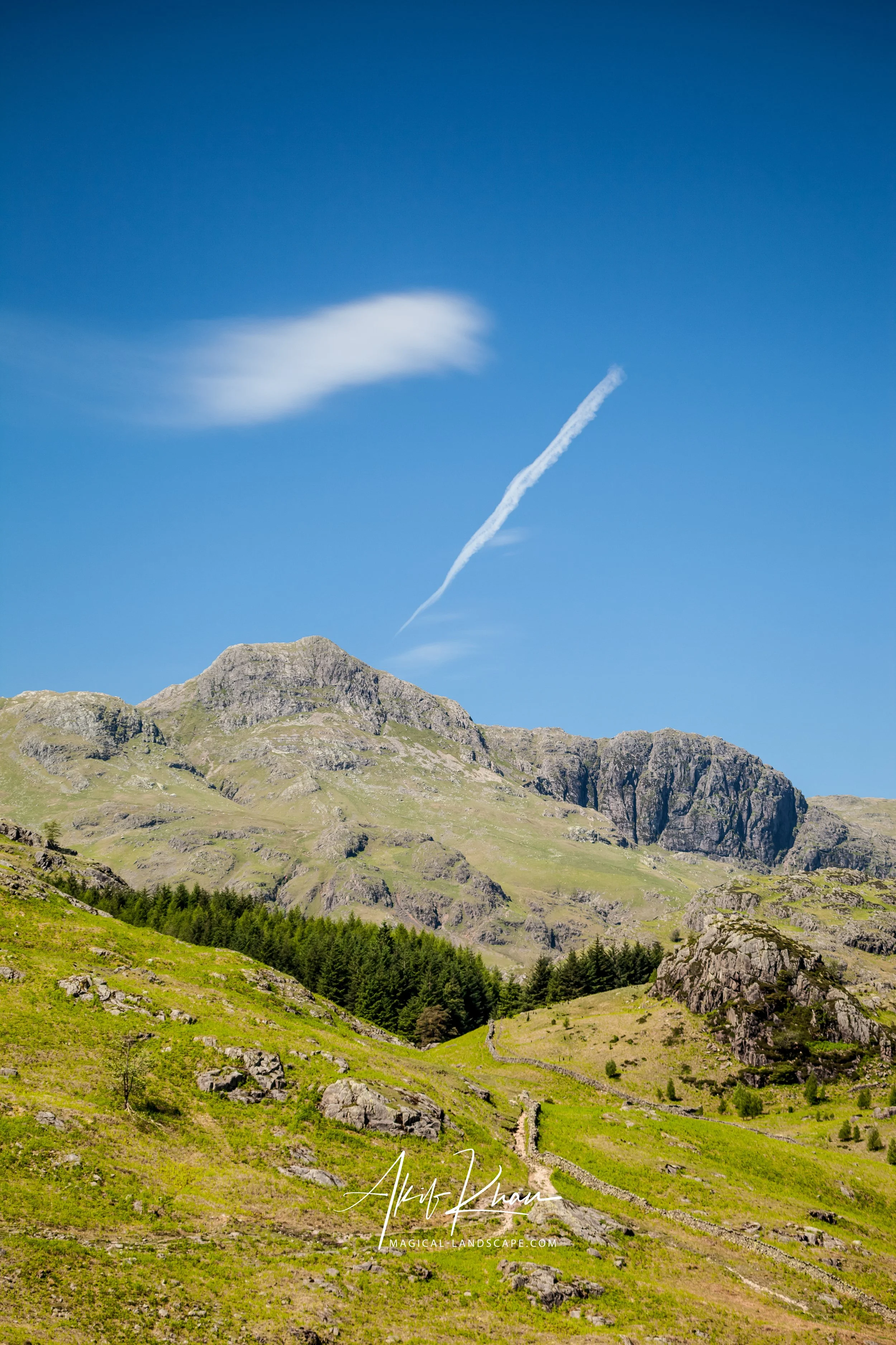 family outing-357.jpg