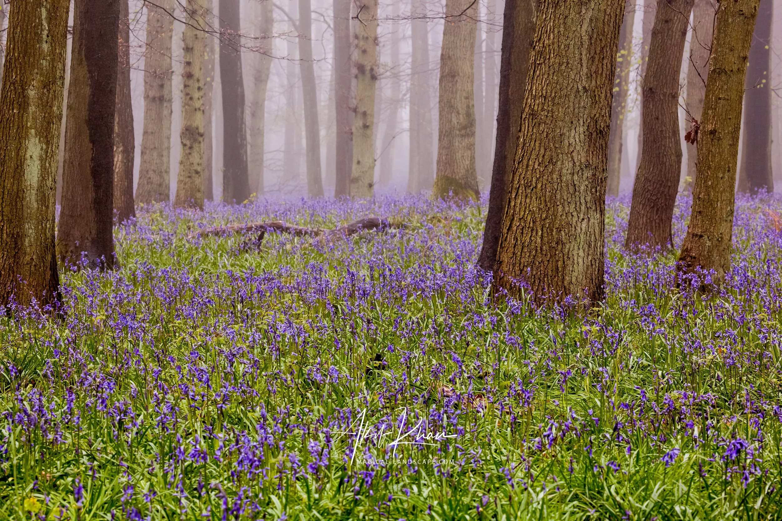 Peak district -28.jpg