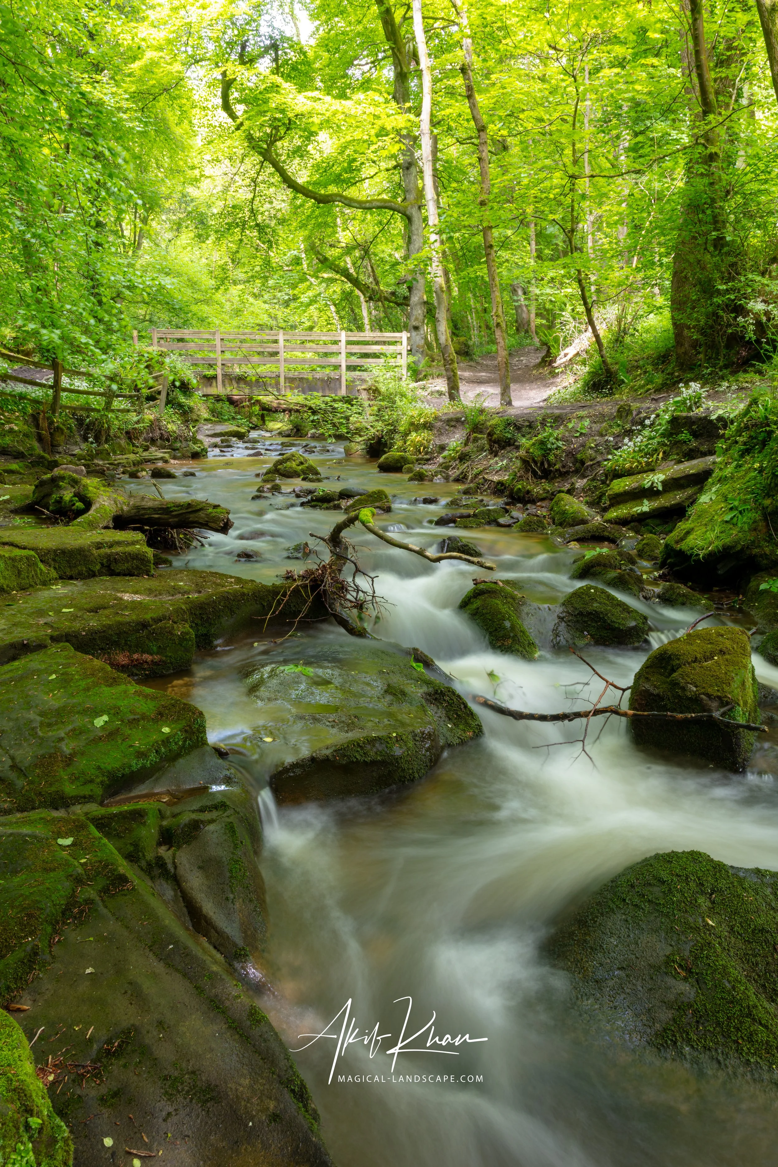 Snowdonia-23.jpg