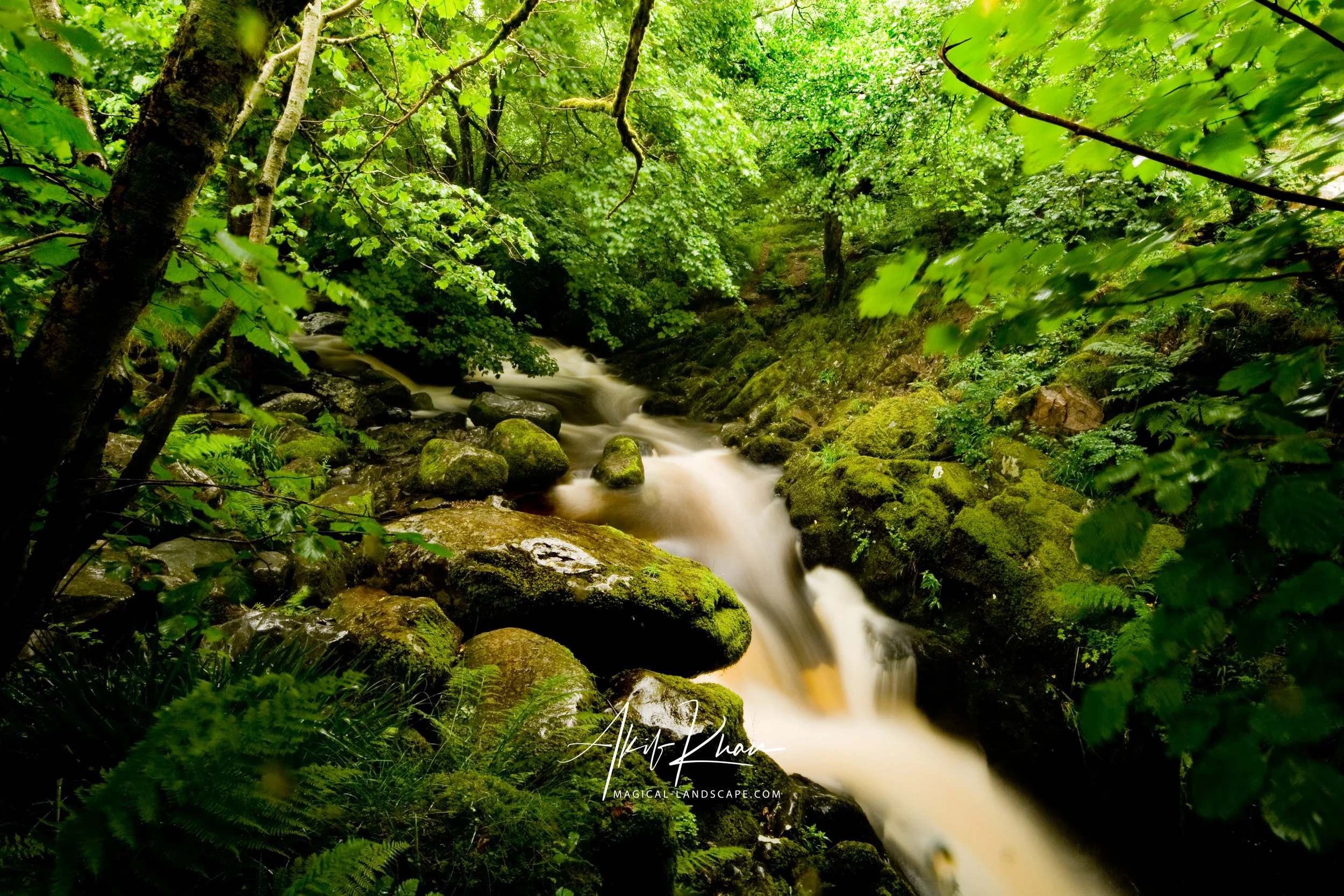 stream to aira force.jpg