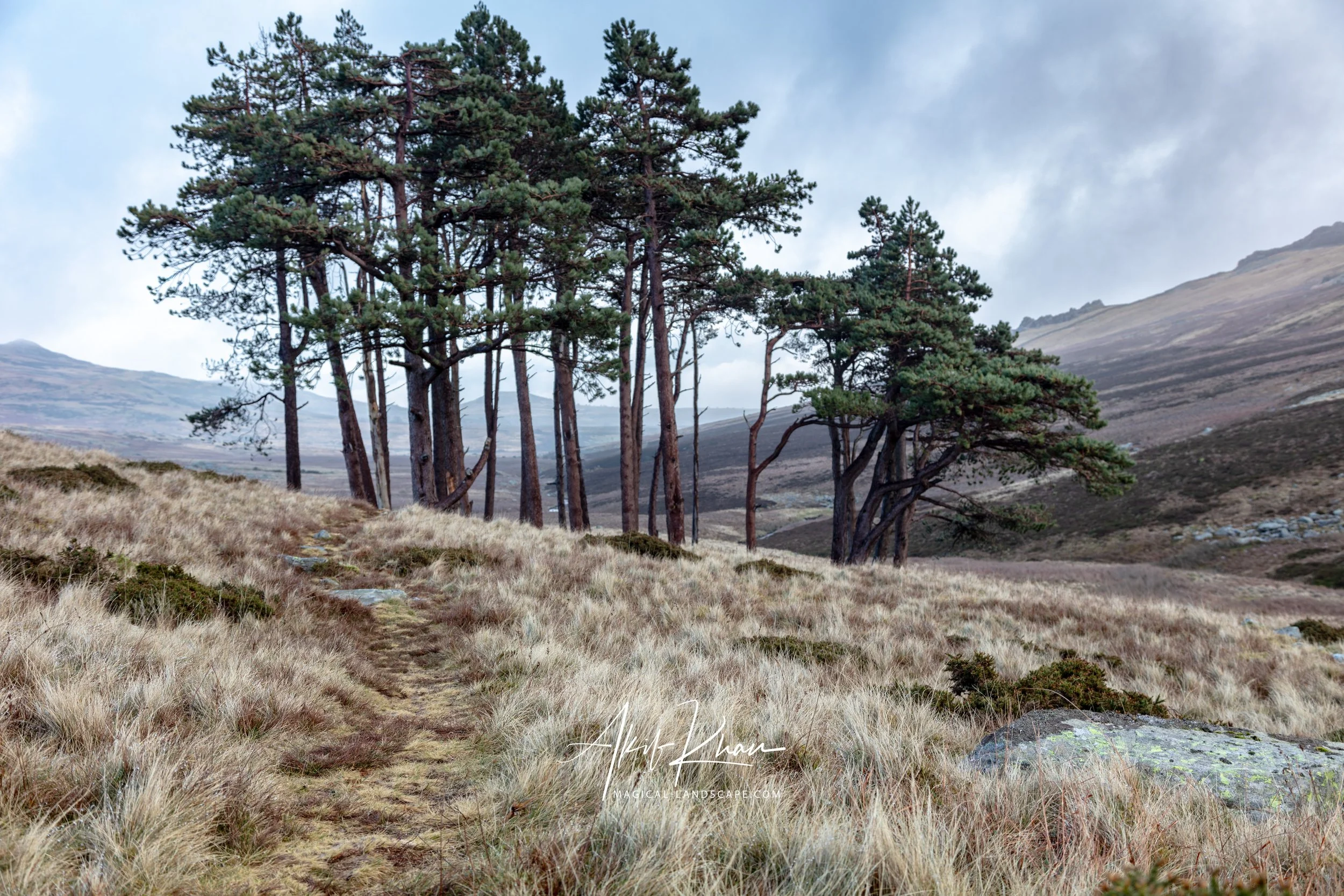 Snowdonia-14.jpg