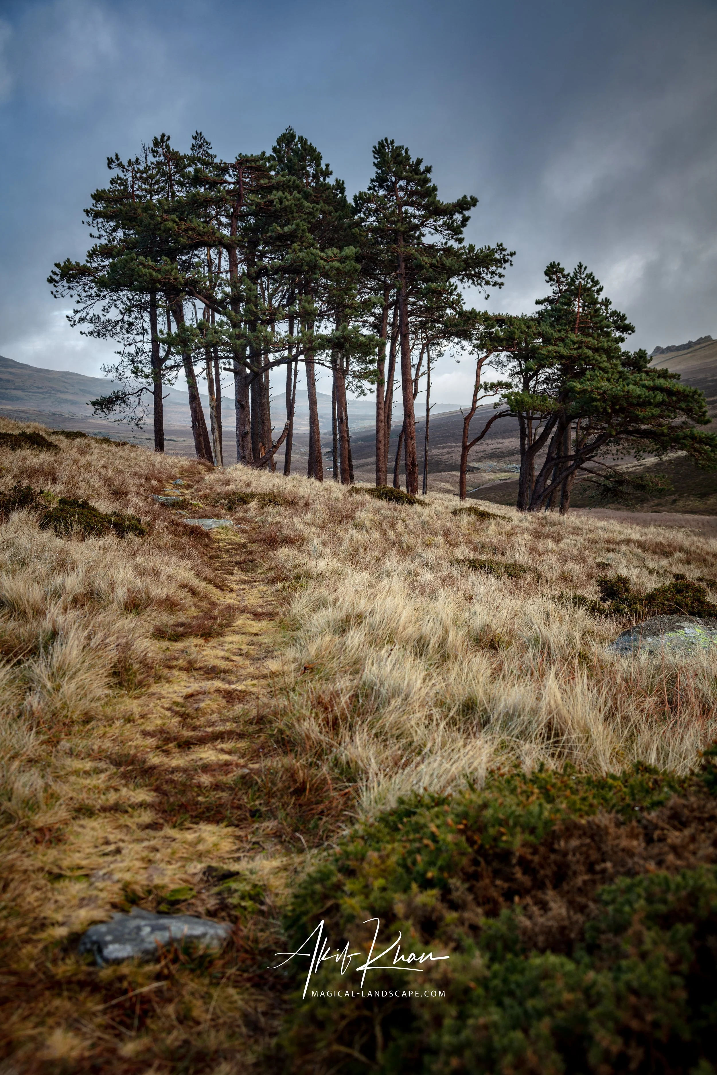 Snowdonia-13.jpg