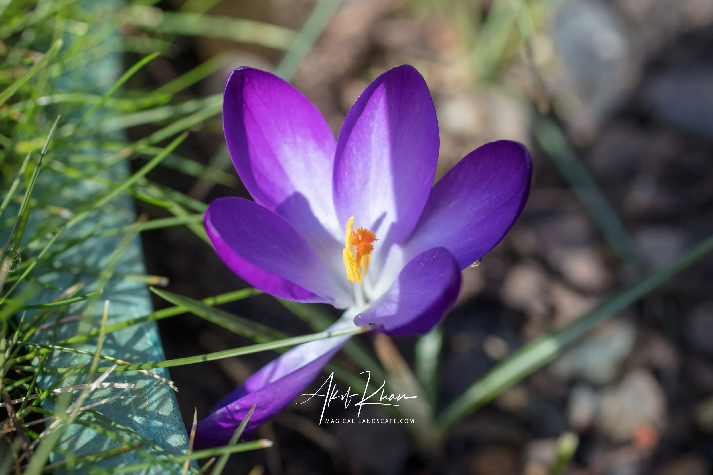 untitled-23 copy.jpg