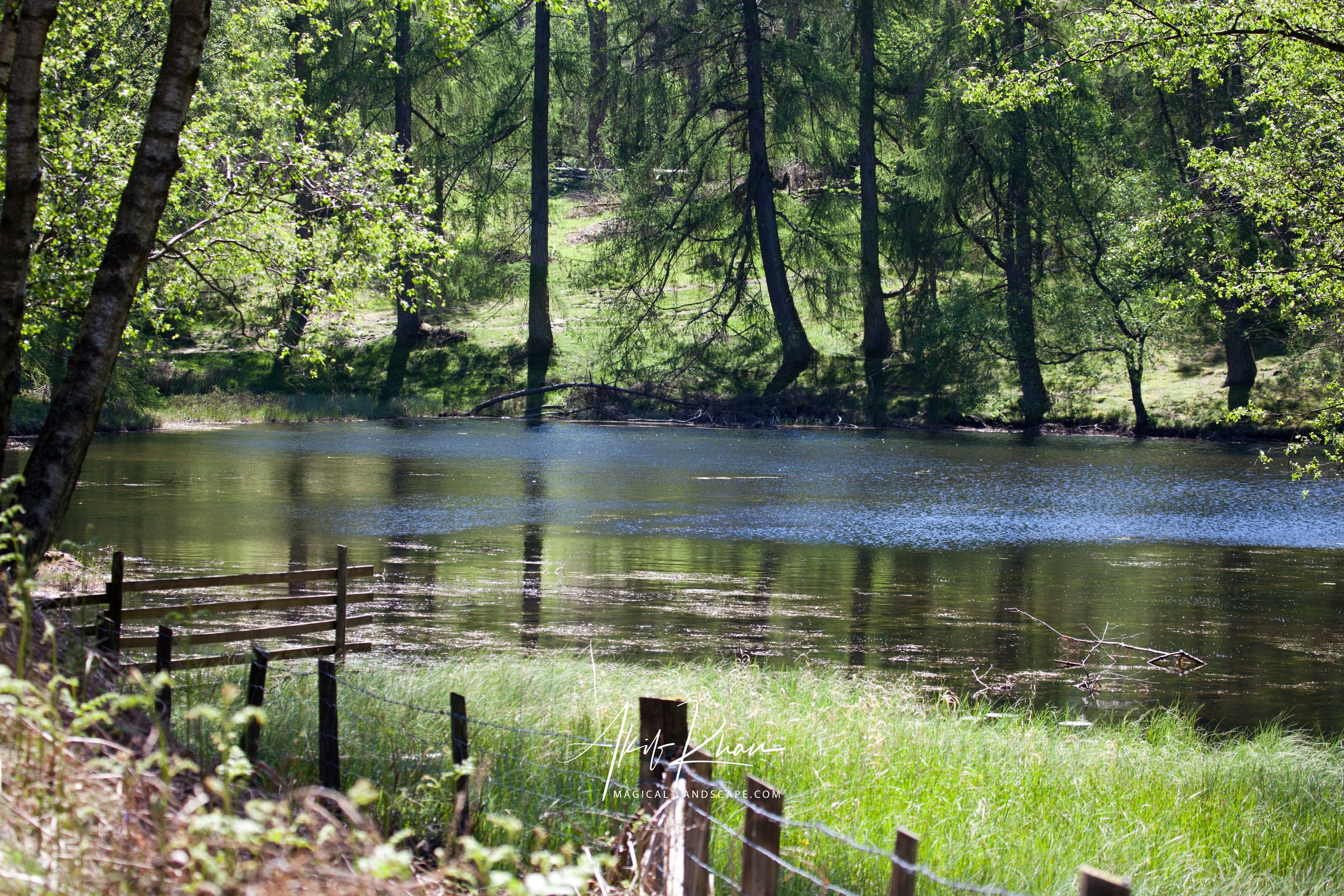 family outing-240.jpg