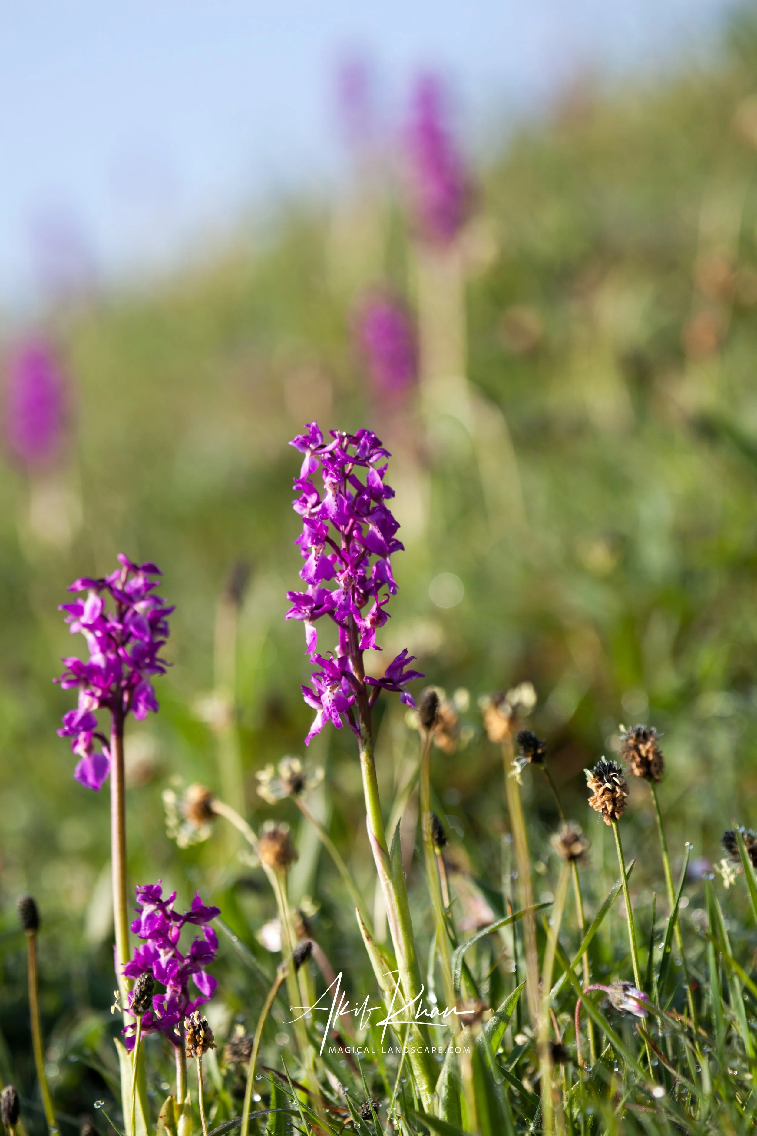 family outing-69.jpg