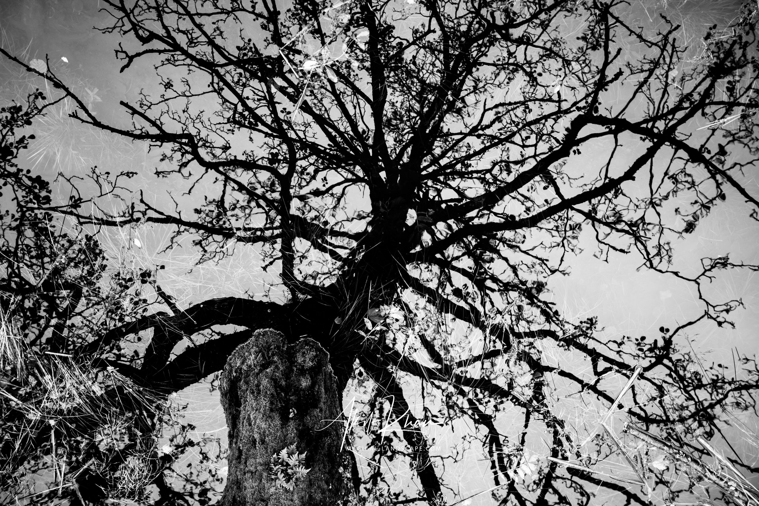 lake district-210.jpg