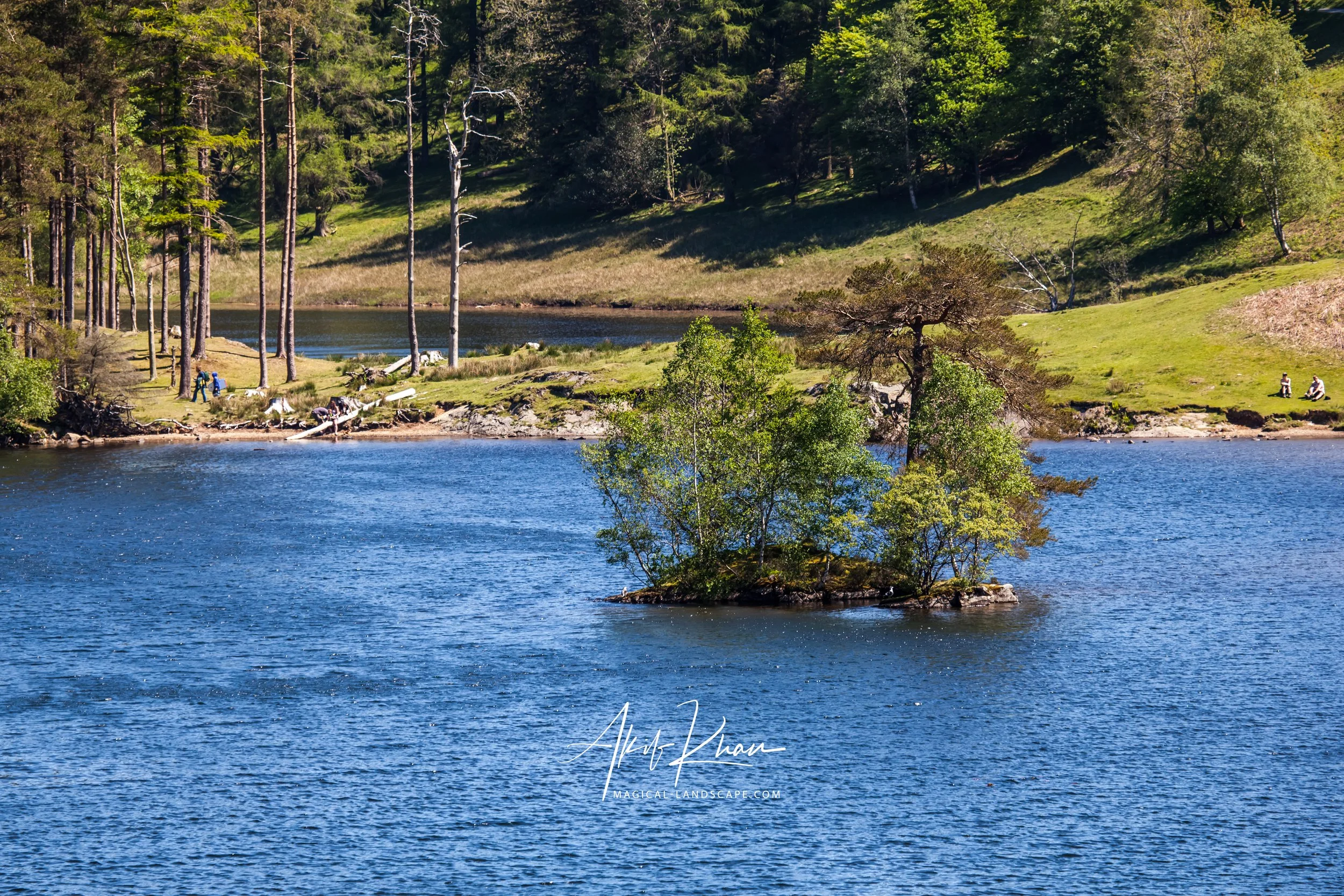family outing-174.jpg