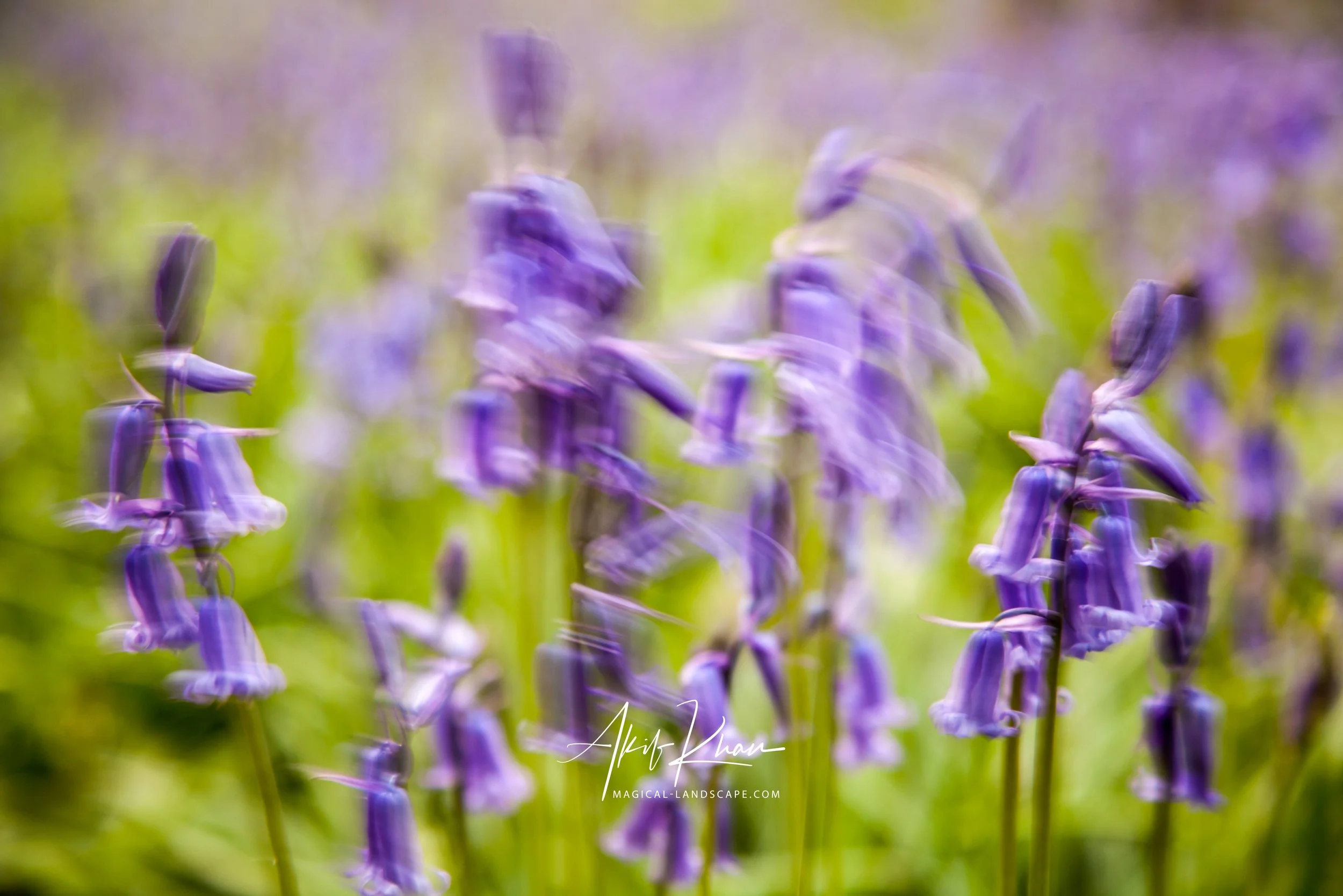 Peak district -66.jpg