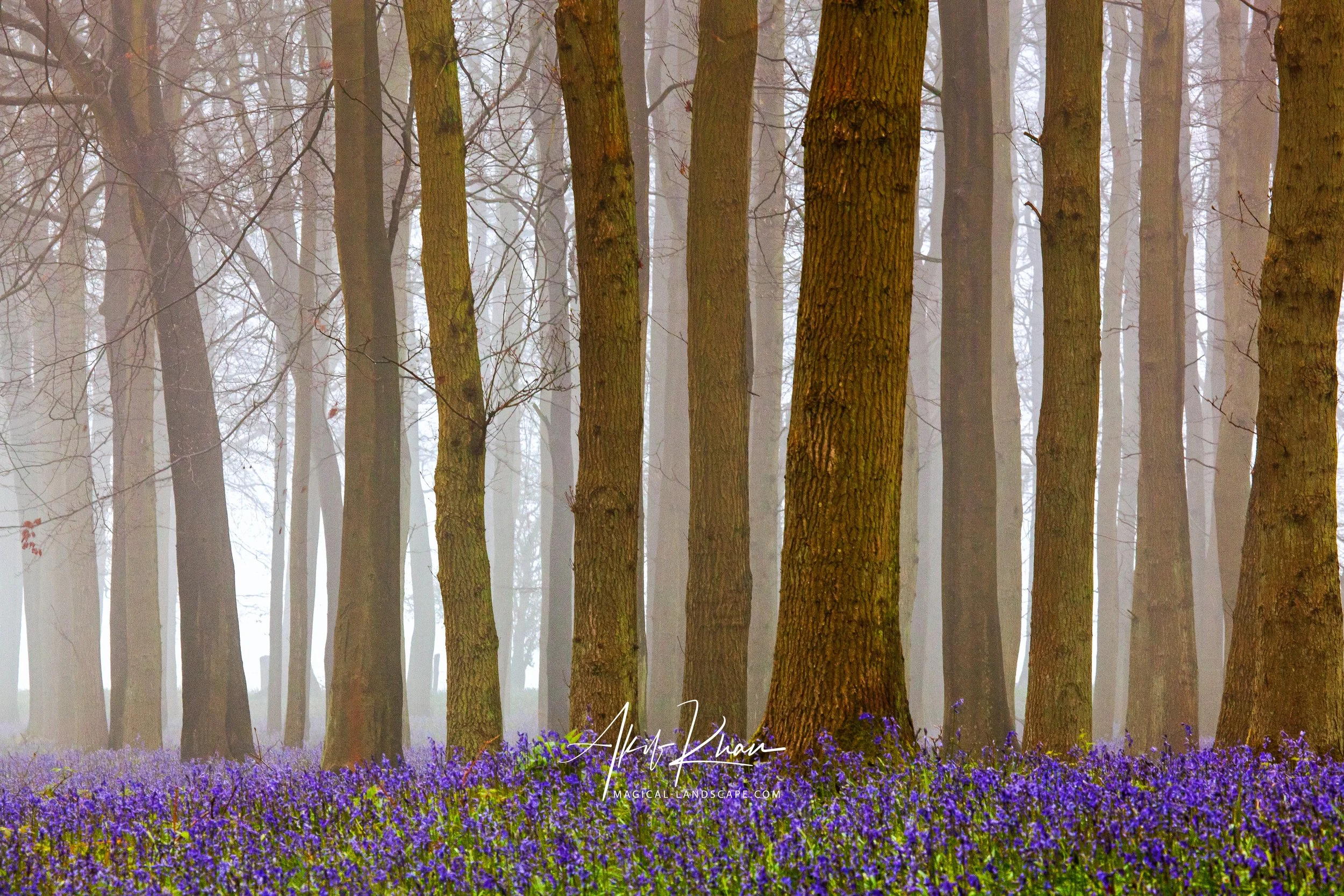 Peak district -27.jpg