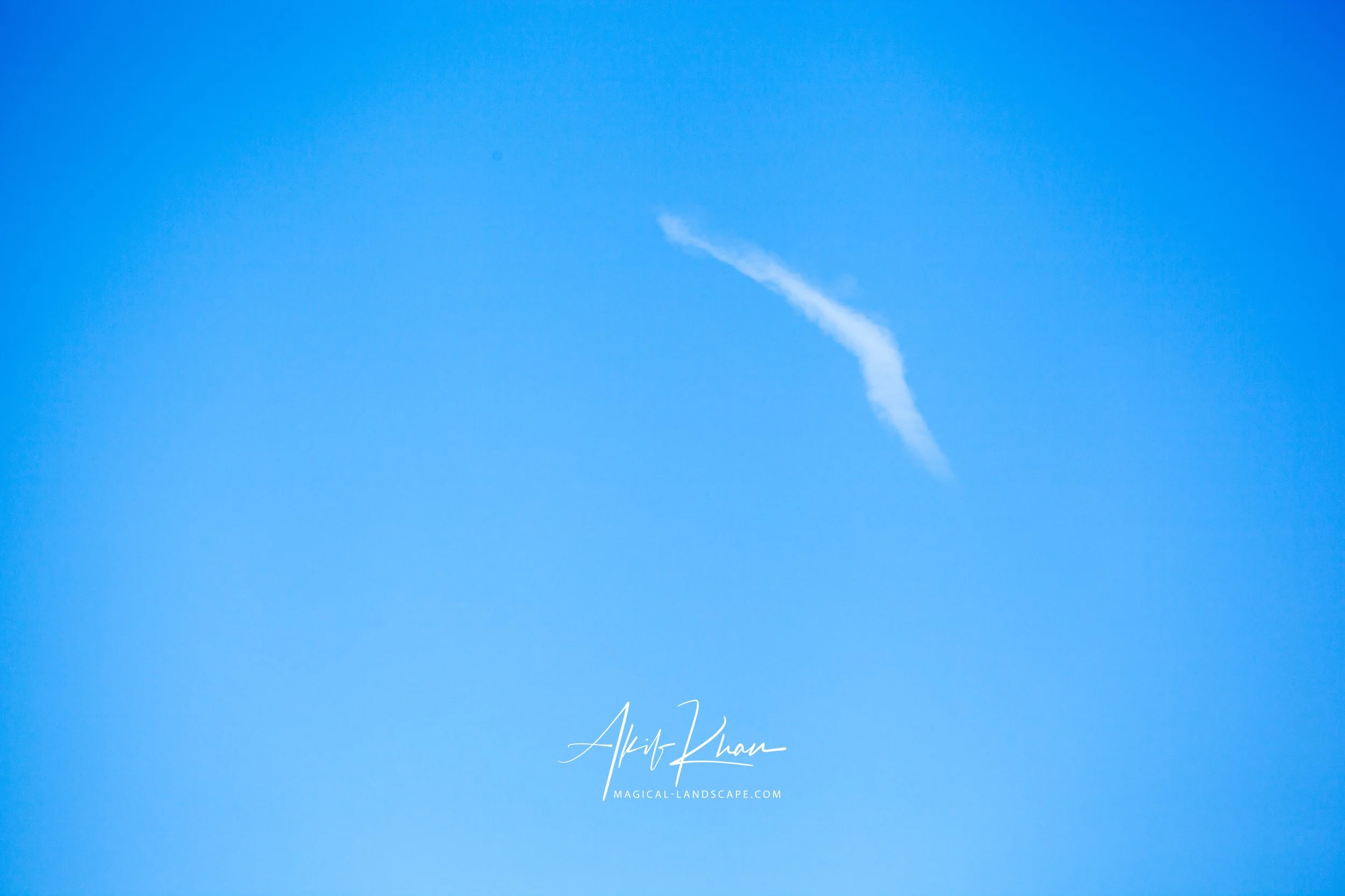 family outing-165.jpg