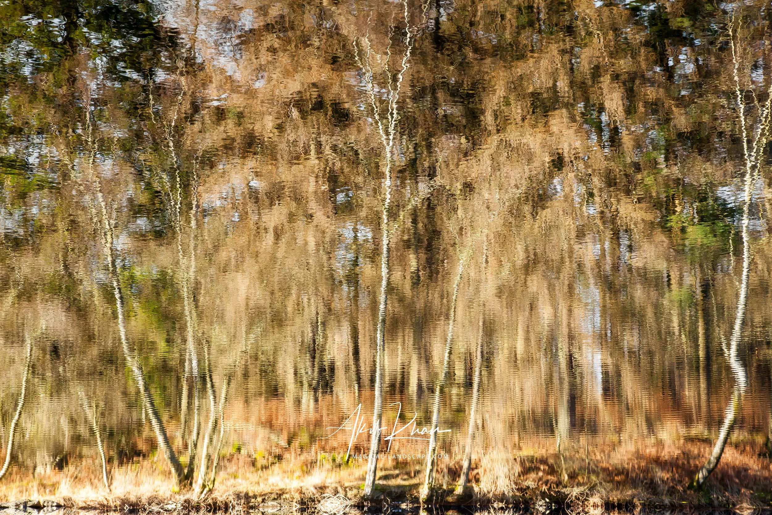 _MG_2355.jpg