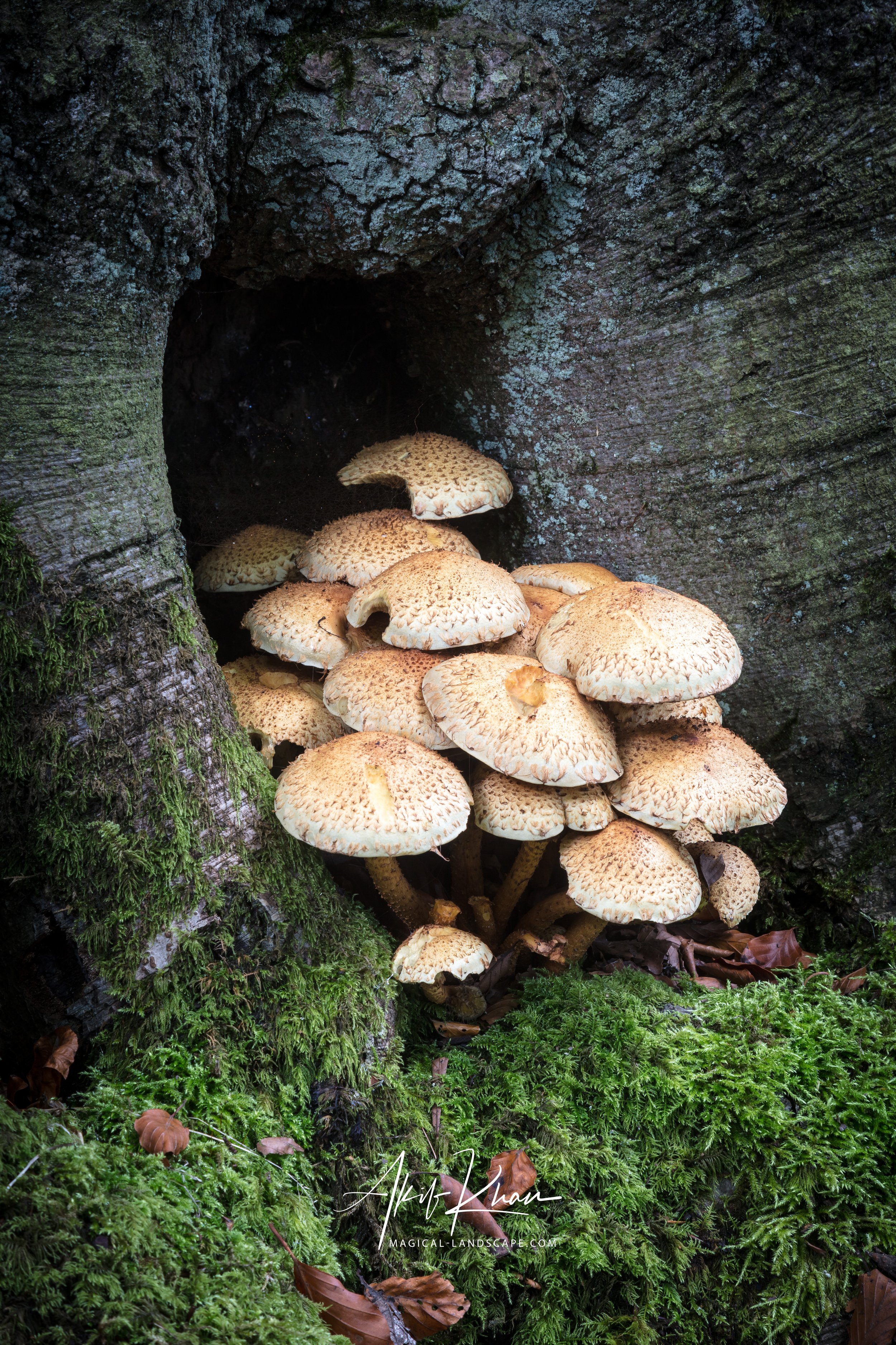 Peak district -80.jpg