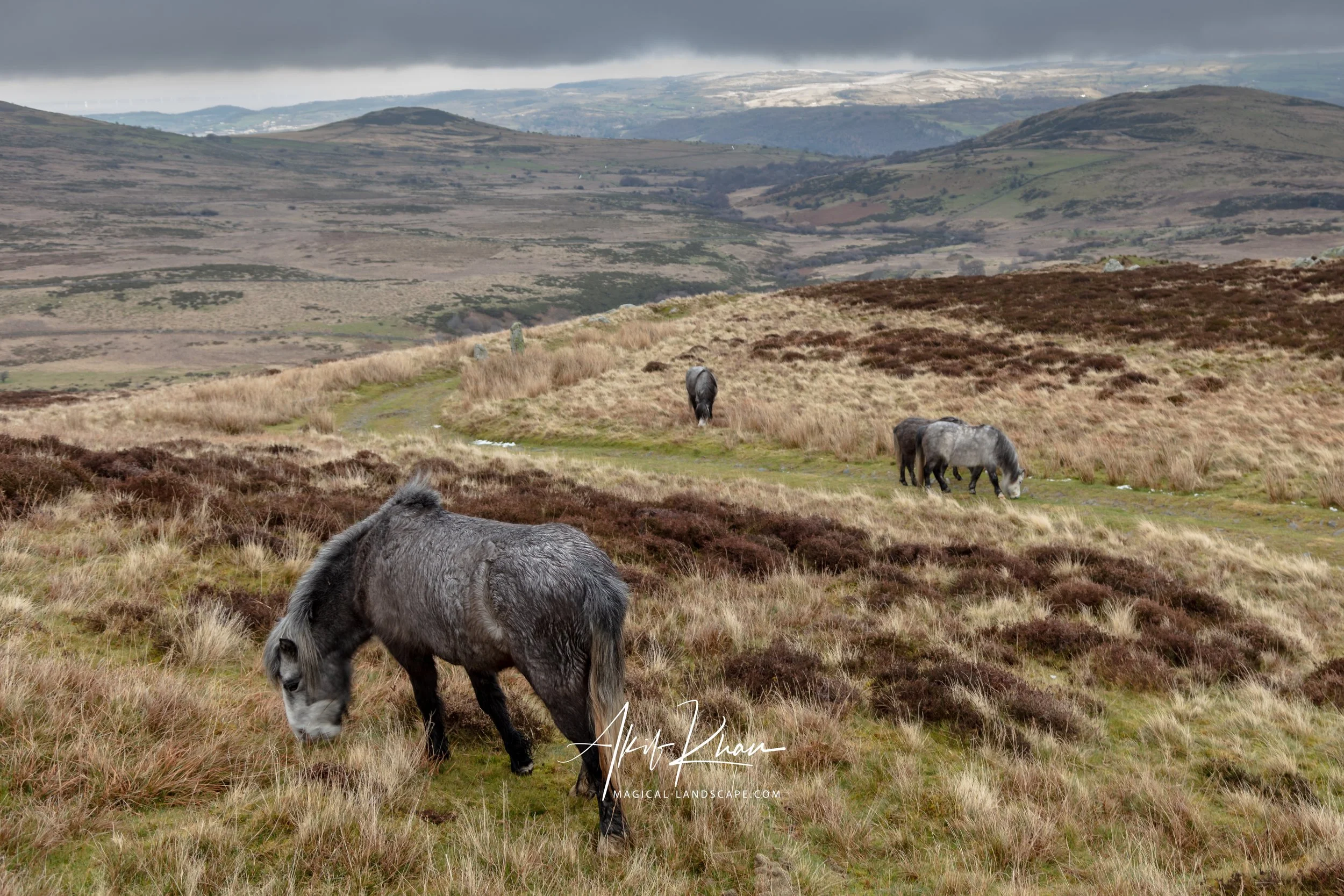 Snowdonia-1.jpg