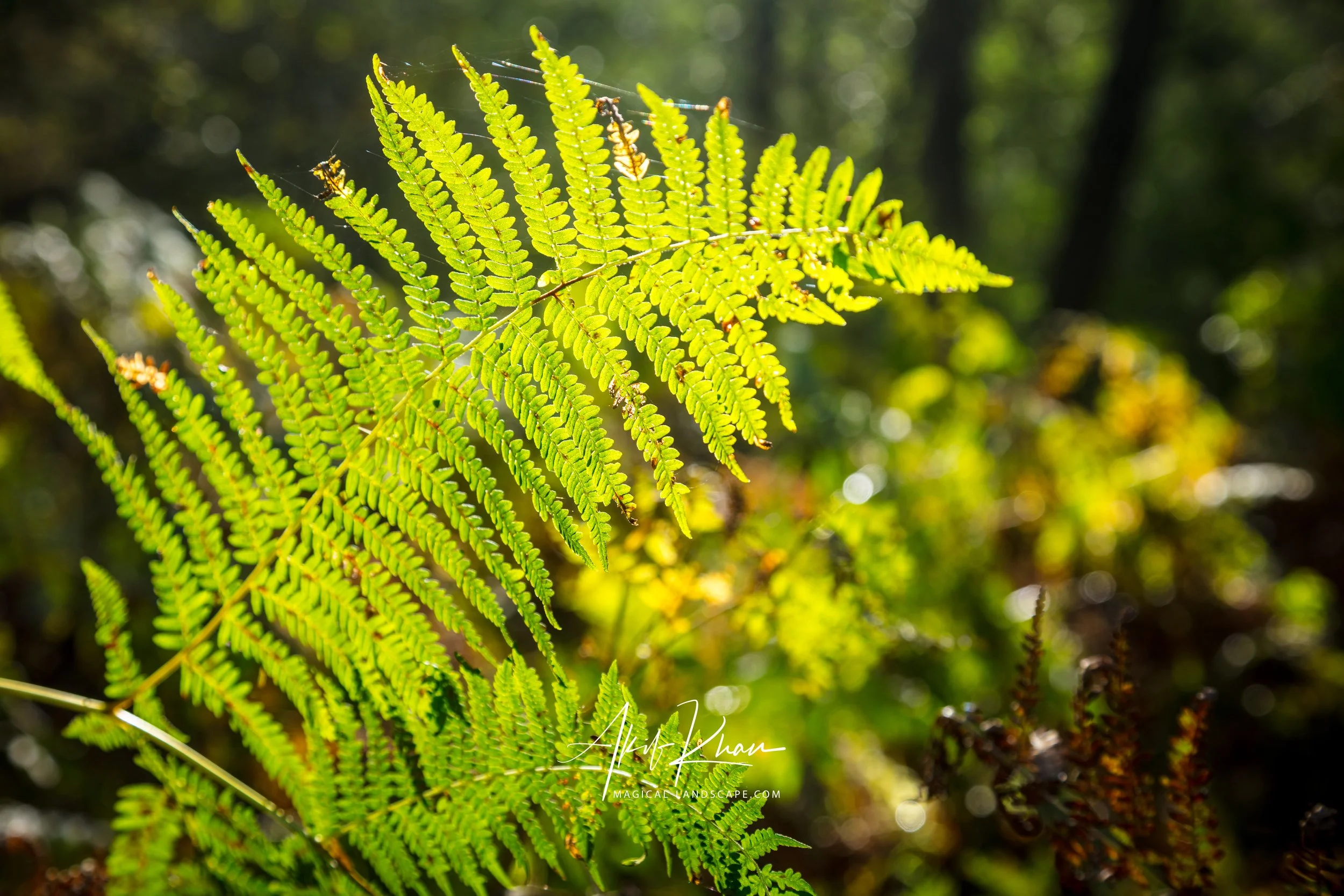 Peak district -83.jpg