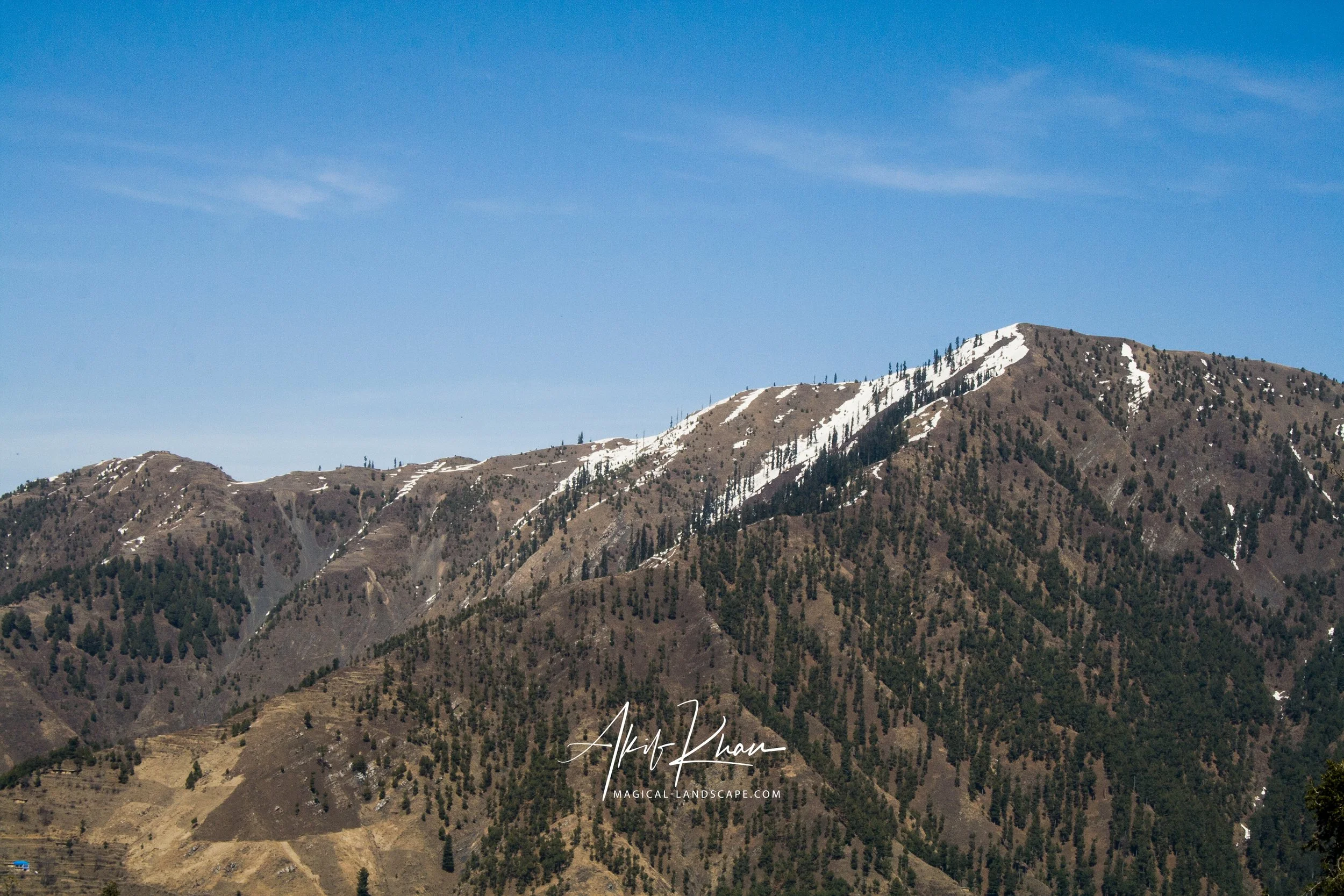 nathiagalia trip with family-animals-8.jpg