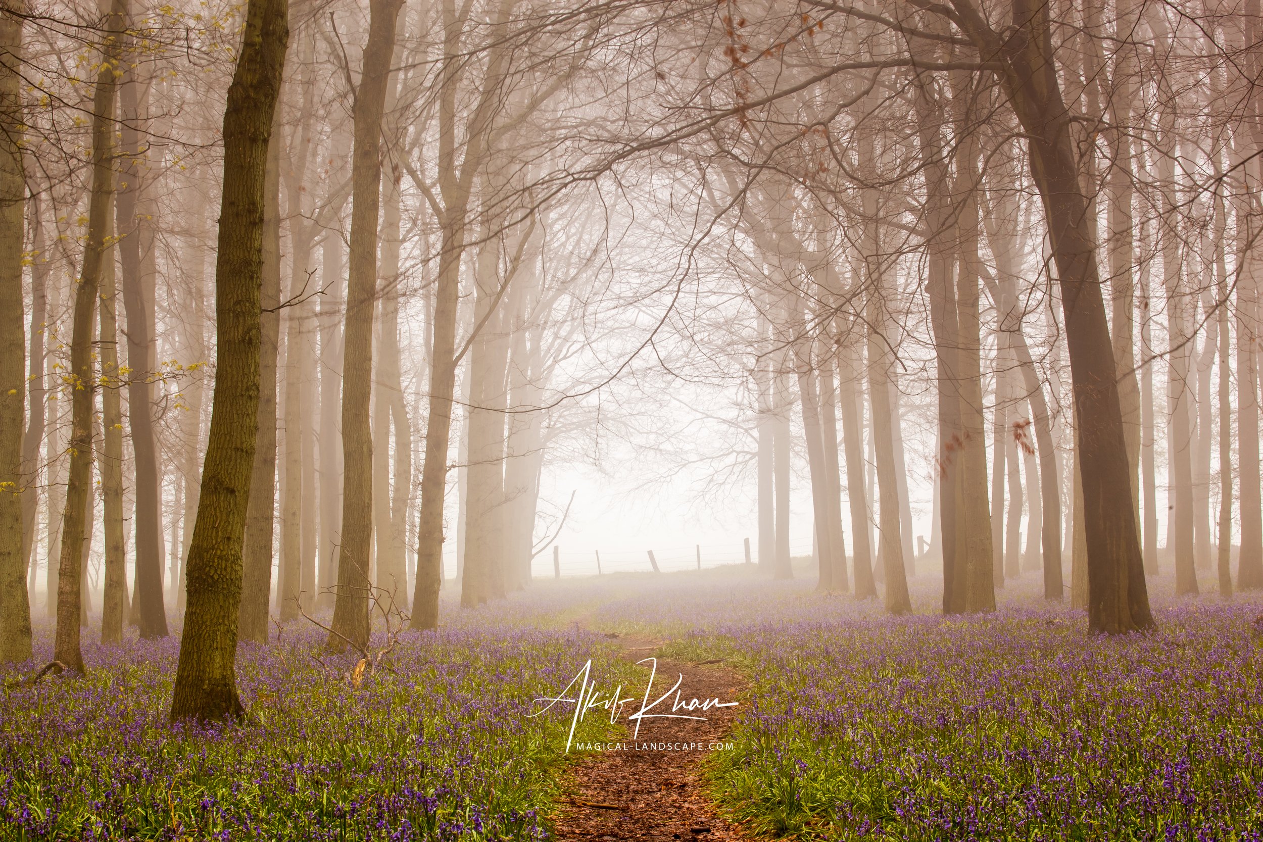 Peak district -30.jpg