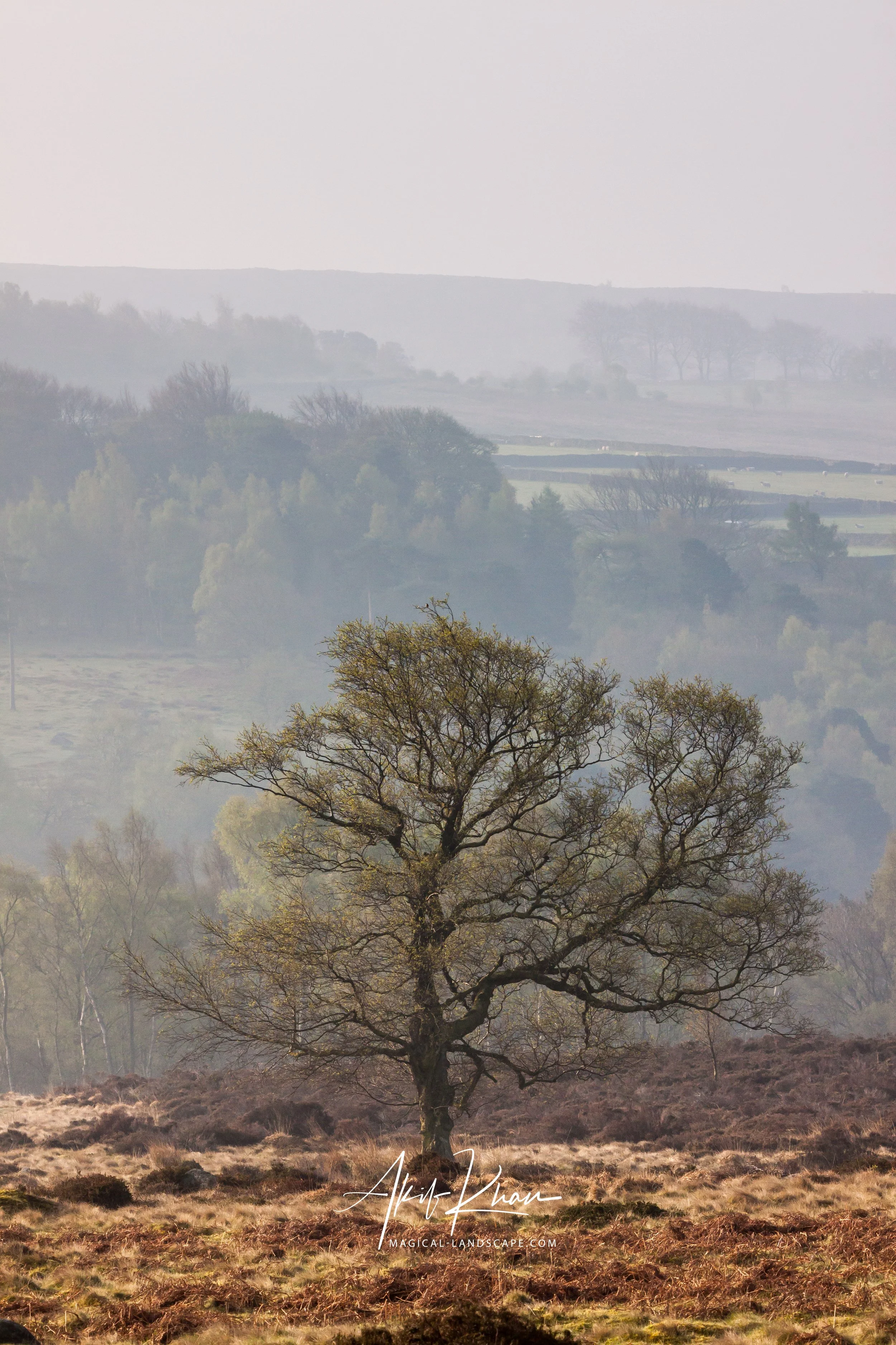 Peak district -5.jpg