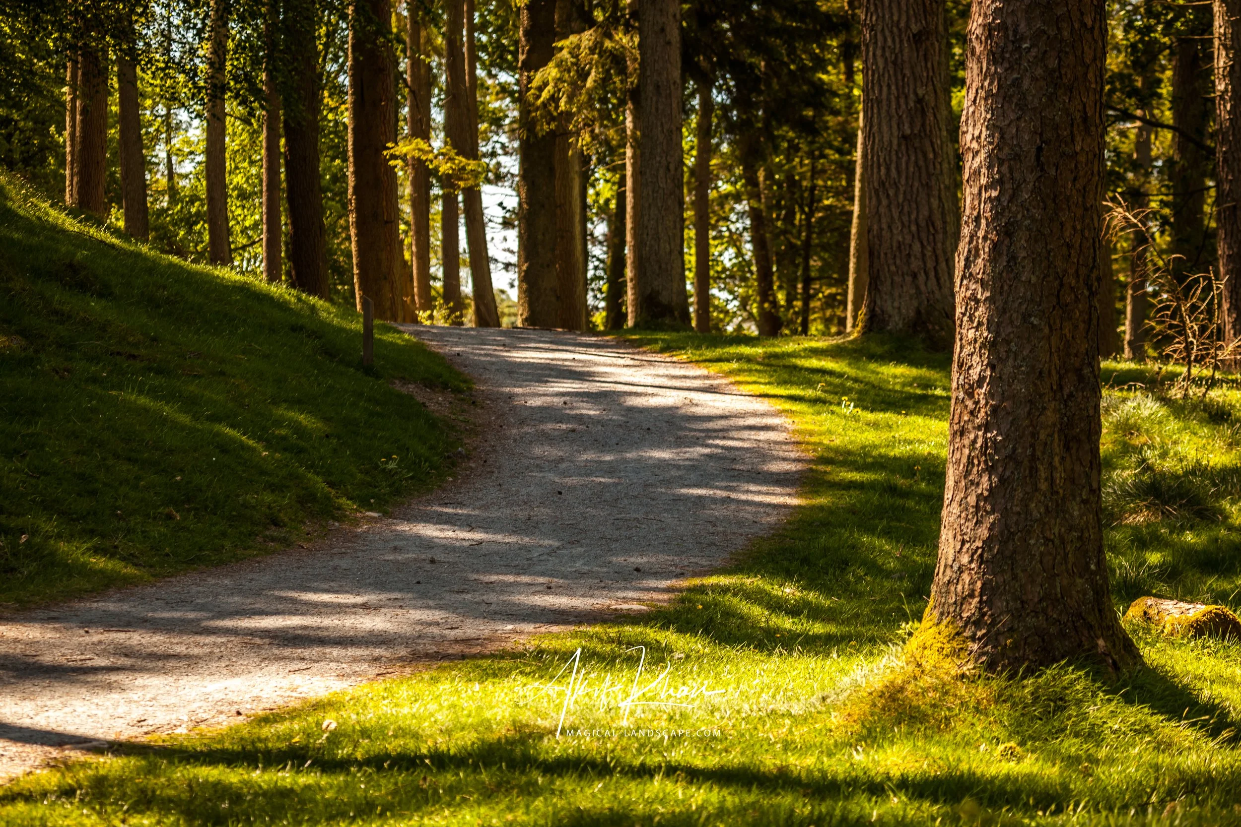 family outing-280.jpg