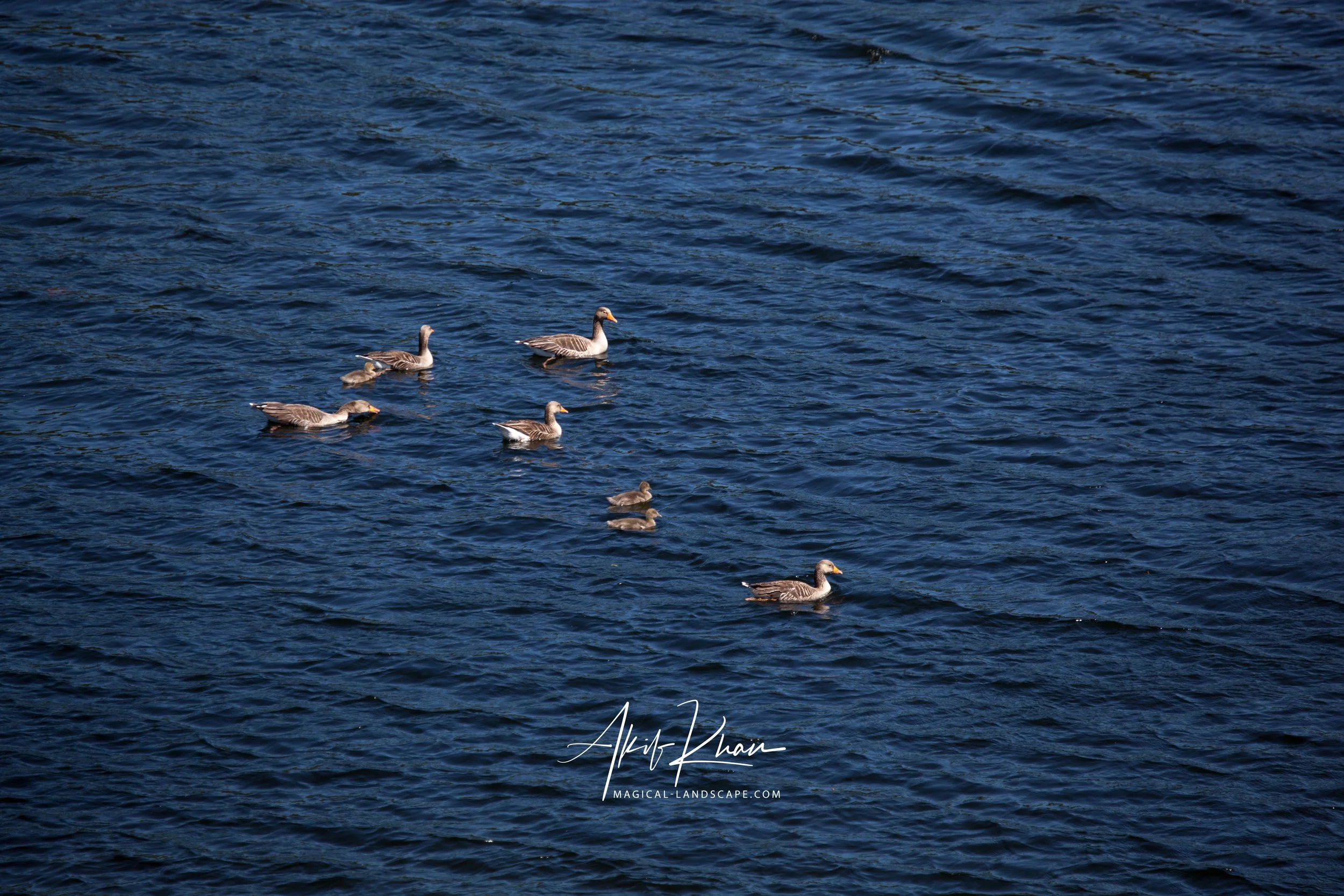 family outing-179.jpg