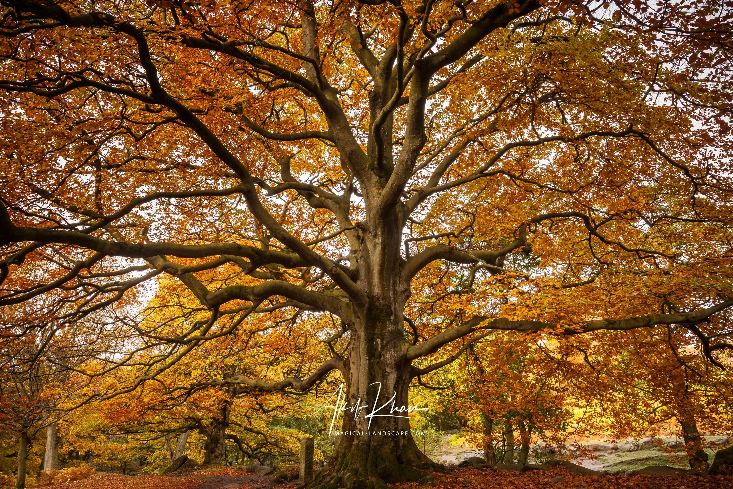 Peak district -75.jpg