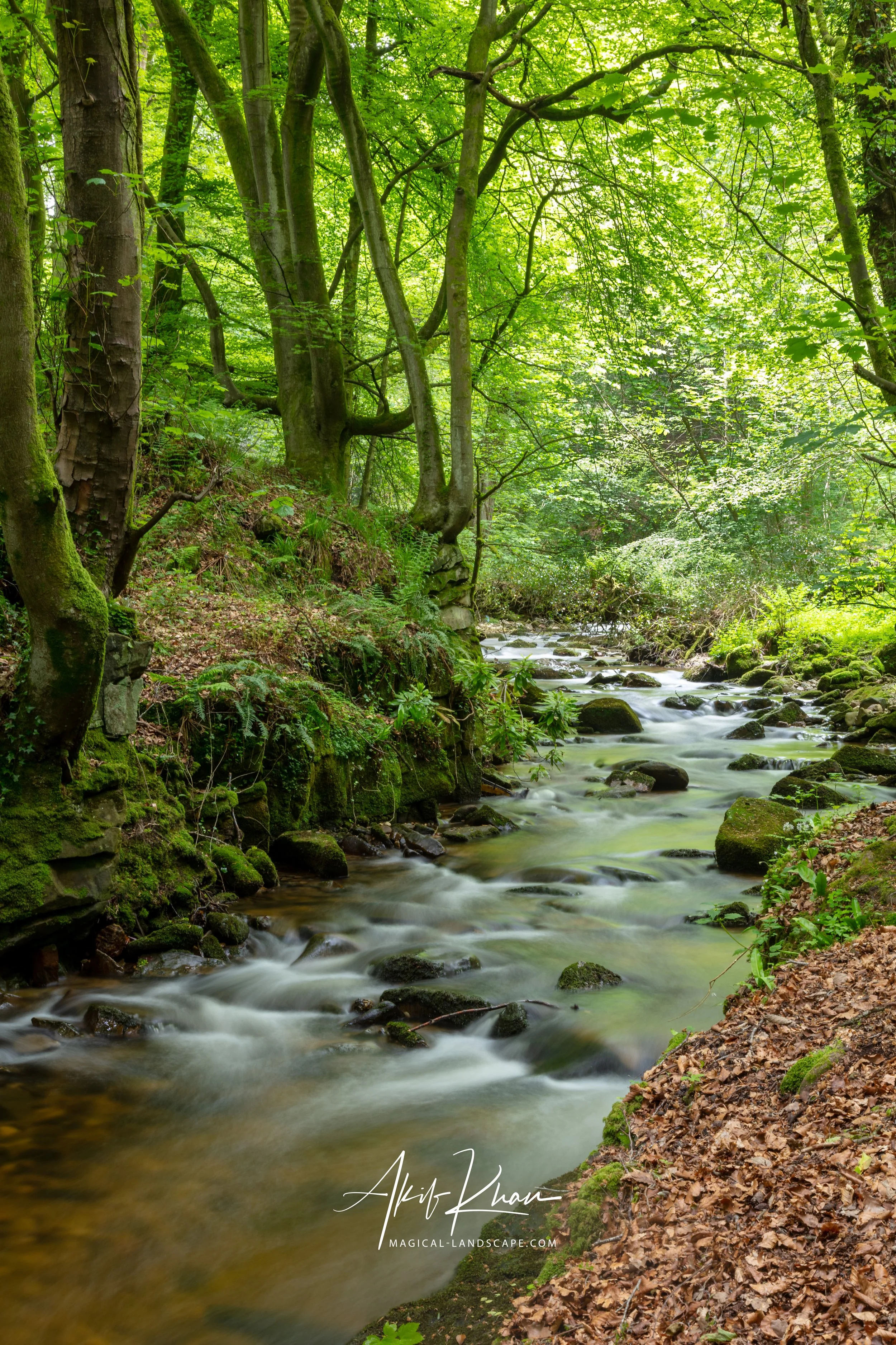 Snowdonia-21.jpg