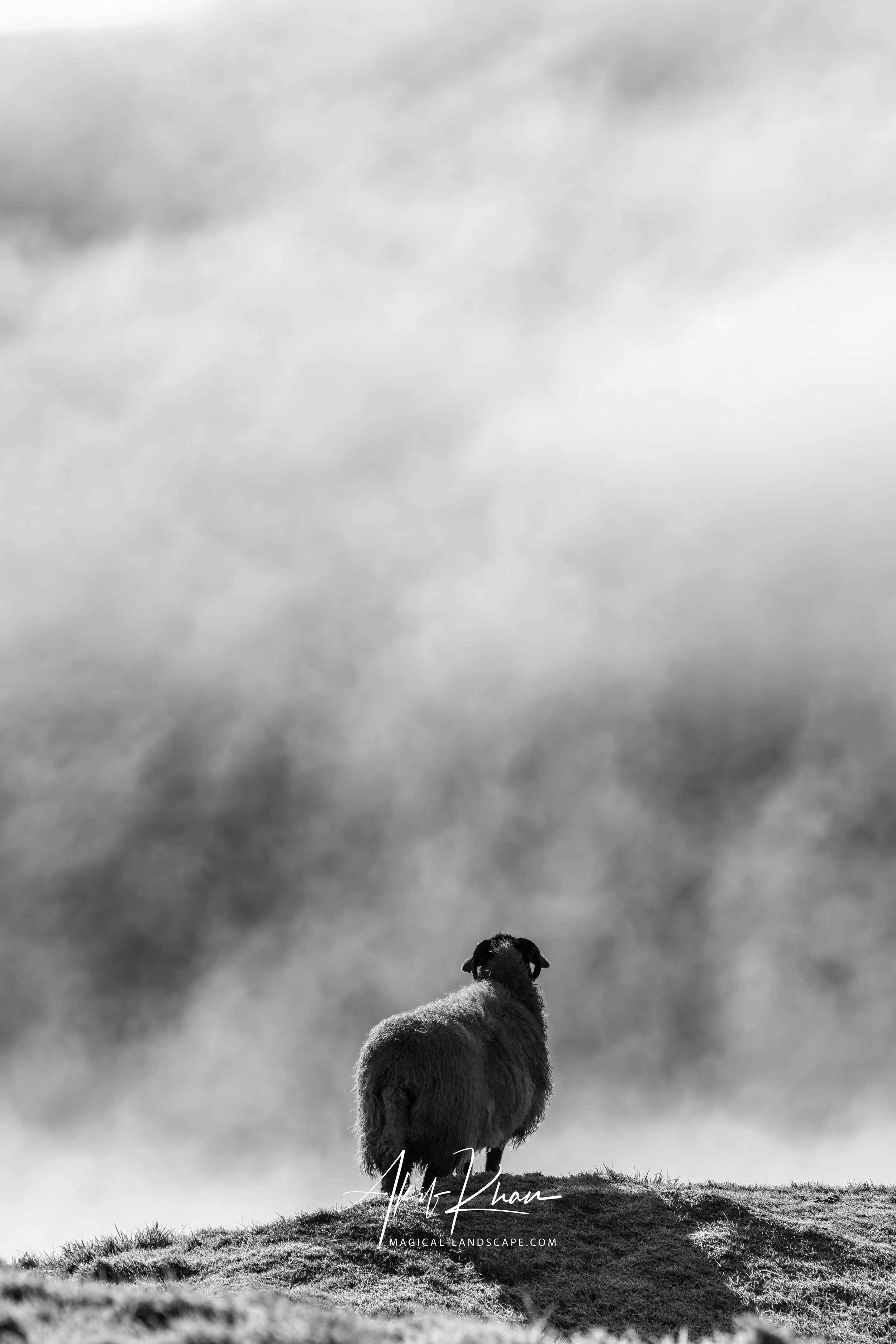 Peak district -78.jpg
