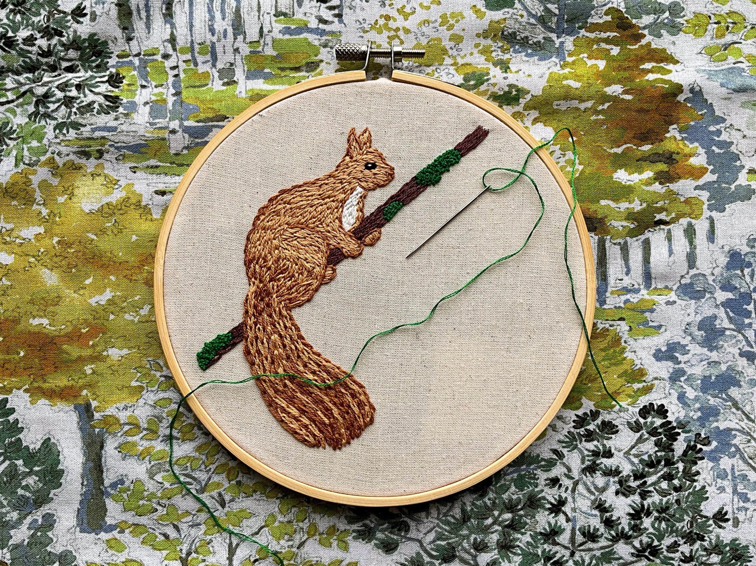 https://i.etsystatic.com/23503936/r/il/861905/6663566700/il_fullxfull.6663566700_itqz.jpg