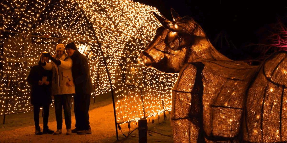 Lights Up Cotswold Sculpture Park, Cotswold Sculpture Park Christmas lights, art and light trail Gloucestershire, contemporary art light trail Cotswolds, winter lights at Cotswold Sculpture Park, after dark sculpture park events