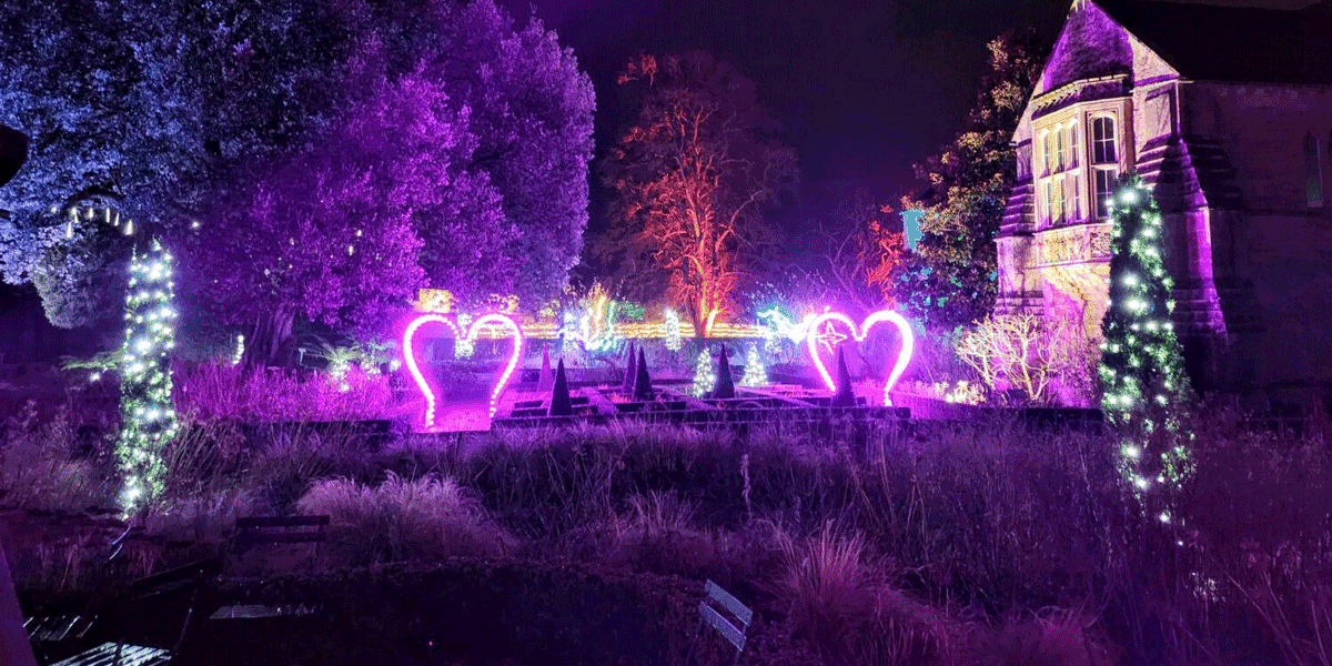 sparkle christmas lights bishops palace wells 2025, wells palace garden illuminations christmas trail, bishops palace sparkle event dates 2025, somerset illuminated gardens wells christmas, family friendly christmas trail wells 2025