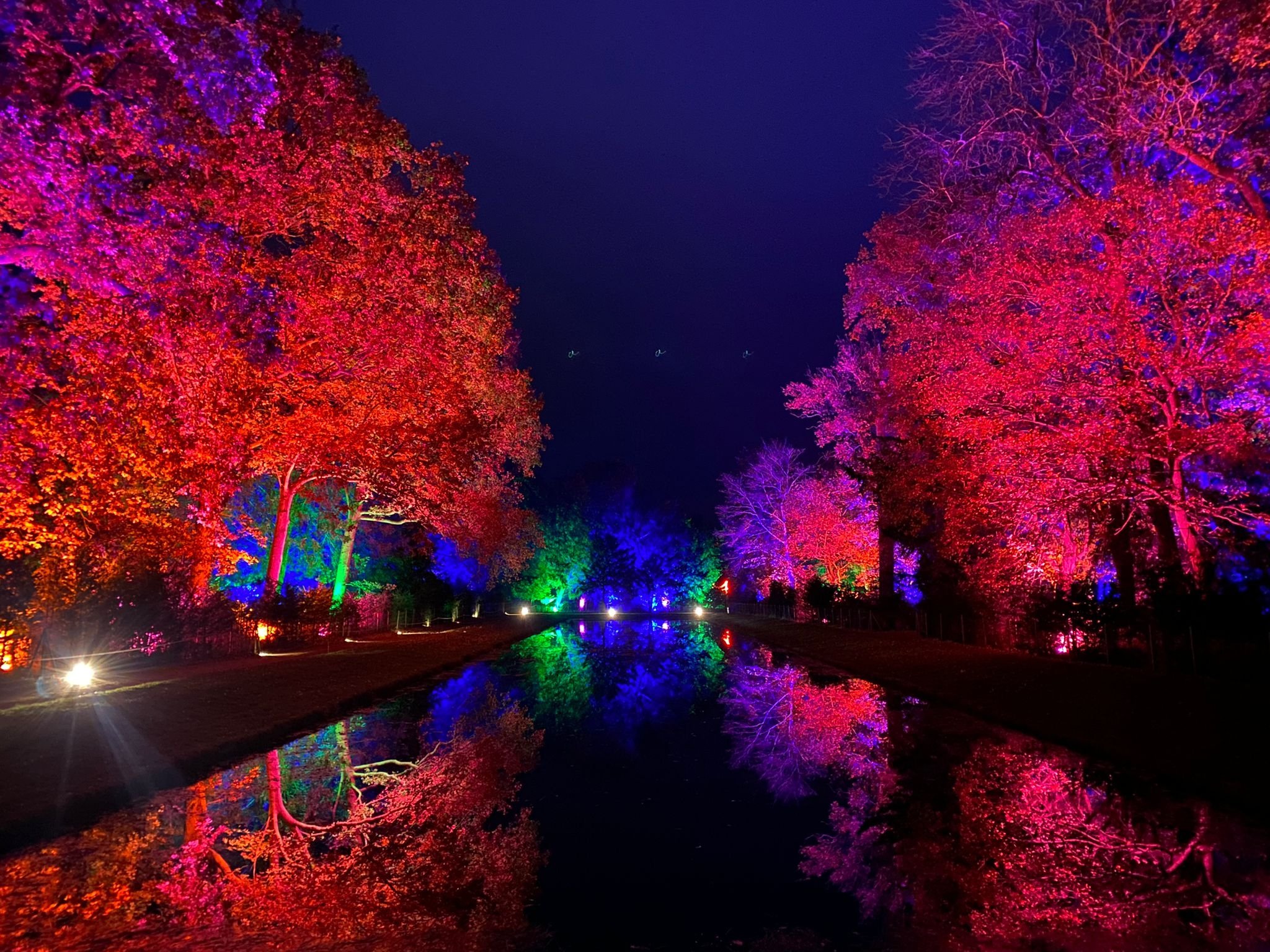 "Sparkle and Cheer: Unveiling the Magic of Christmas at Walmer Castle's Enchanting Light Trail Celebration Christmas lights festivities events activities and experiences in kent kentish uk 2024 2025