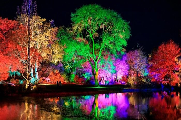 Glow at Wisley 2025 seamlessly integrated into your London’s Best Light Trails &amp; Illuminated Festive Attractions 2025