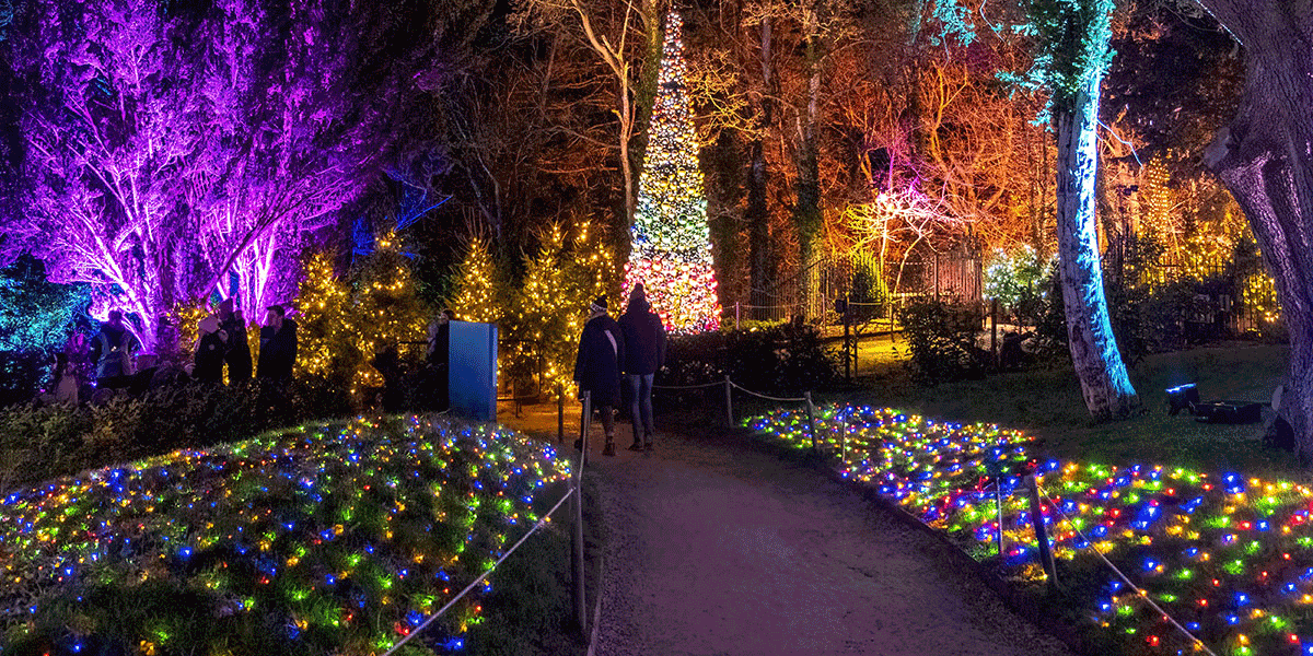 Magical Christmas Light Trails and Illuminations in Essex 2025