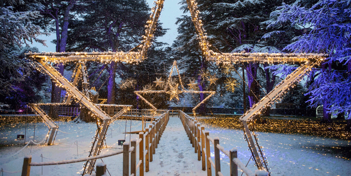 Christmas Light Trails and Immersive Experiences in Bristol for 2025