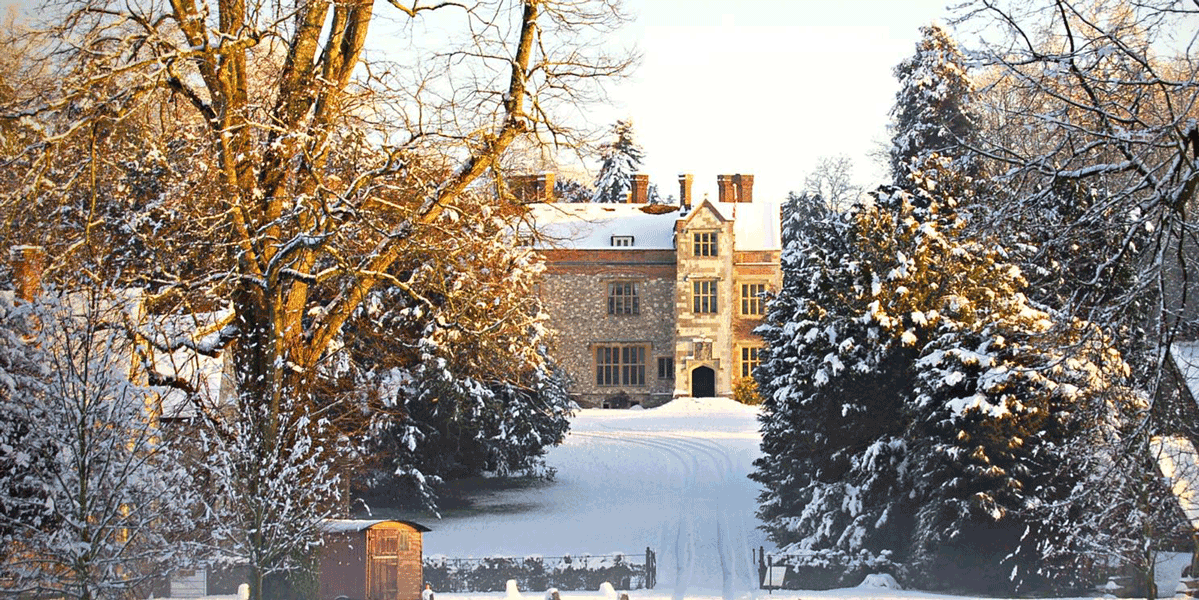 Magical Christmas Events in Hampshire: 6 Wildlife, Carols and Special Evenings