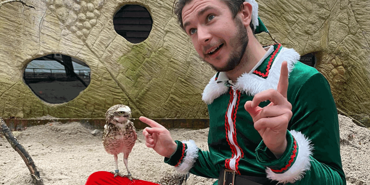 Christmas carols and owls Hampshire event, Hawk Conservancy Trust Christmas evening, owls by moonlight Christmas Hampshire, festive wildlife events Hampshire December, Christmas carol singing outdoors Hampshire,