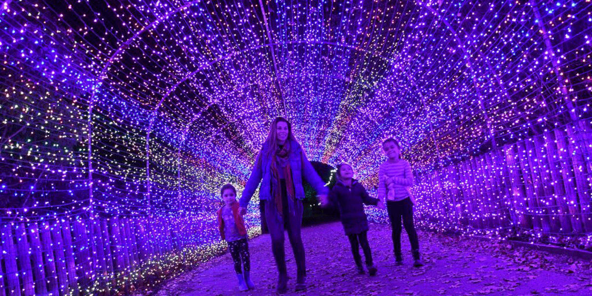 christmas light trails in hampshire 2025, illuminated christmas events hampshire evenings, best festive light trails hampshire, family friendly christmas light trails hampshire, winter illuminated gardens hampshire