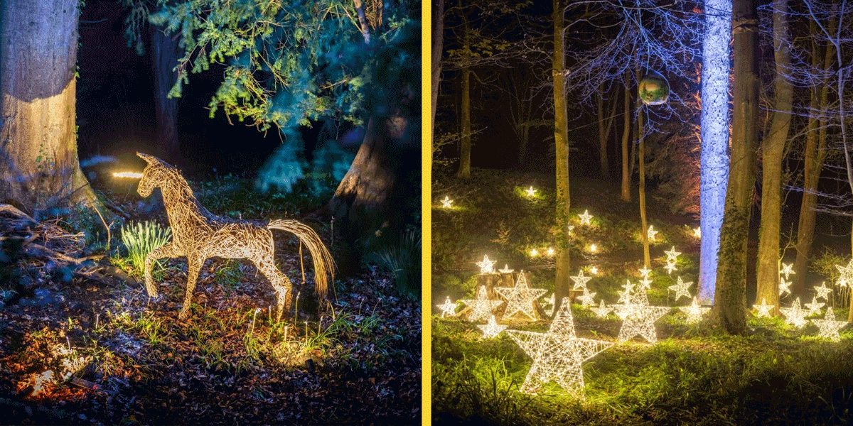 Enchanted Garden by Night Painswick, Painswick Rococo Garden Christmas lights, Rococo Garden winter light trail, Christmas events at Painswick Rococo Garden, festive garden light trails Gloucestershire, candlelit garden walks Cotswolds Christmas