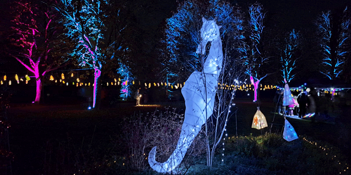 enlightened staunton farm light trail 2025, staunton farm christmas light trail, enlightened winter light trail hampshire, christmas light trail near havant, illuminated countryside light trails hampshire