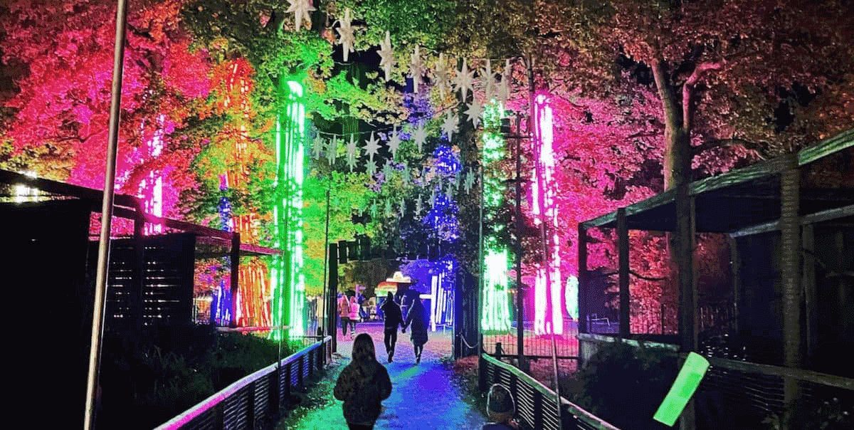 christmas light trails somerset 2025, somerset after dark christmas events guide, wells bishops palace sparkle illuminations 2025, wookey hole winter wonderland caves lights, cheddar gorge christmas grotto 2025 tickets