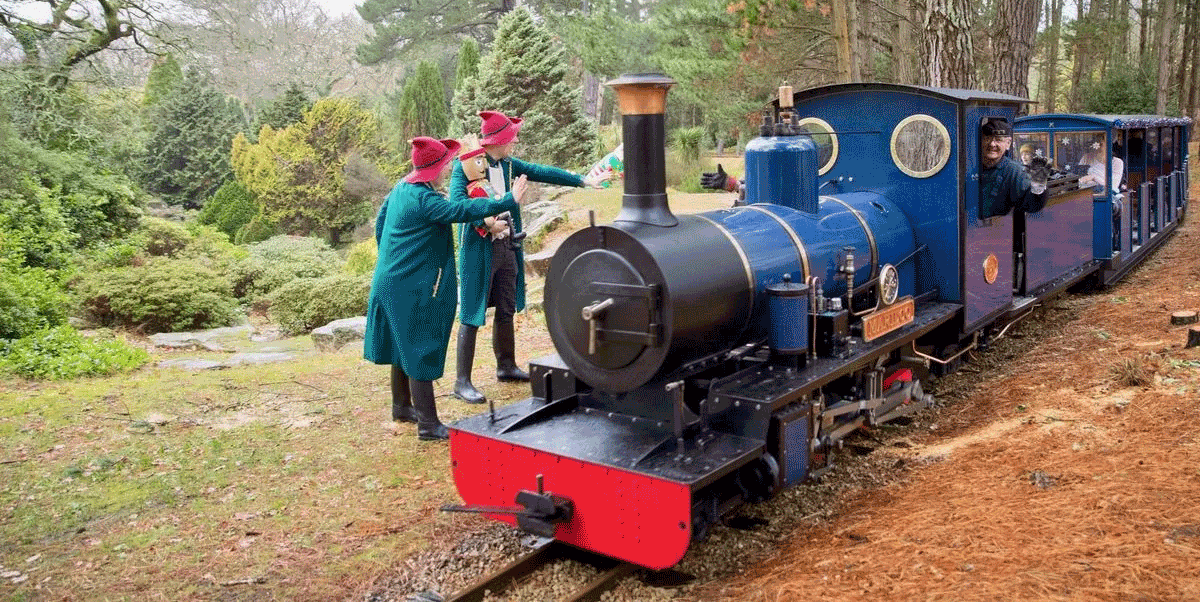 christmas at exbury gardens and railway 2025, exbury gardens christmas event new forest, festive express steam railway exbury, family christmas events exbury gardens, christmas steam train new forest hampshire