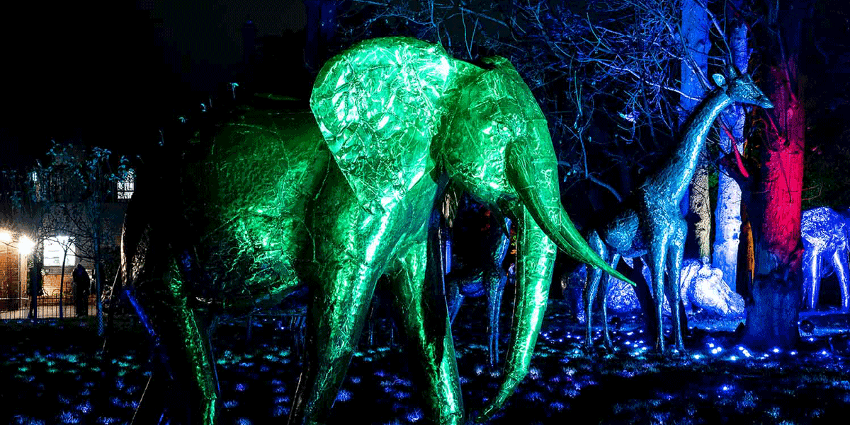 Glow Marwell Christmas light trail, Marwell Zoo Christmas lights event, Glow Marwell winter light experience, Christmas events at Marwell Zoo, illuminated zoo trail Hampshire Christmas, family Christmas light trail Hampshire
